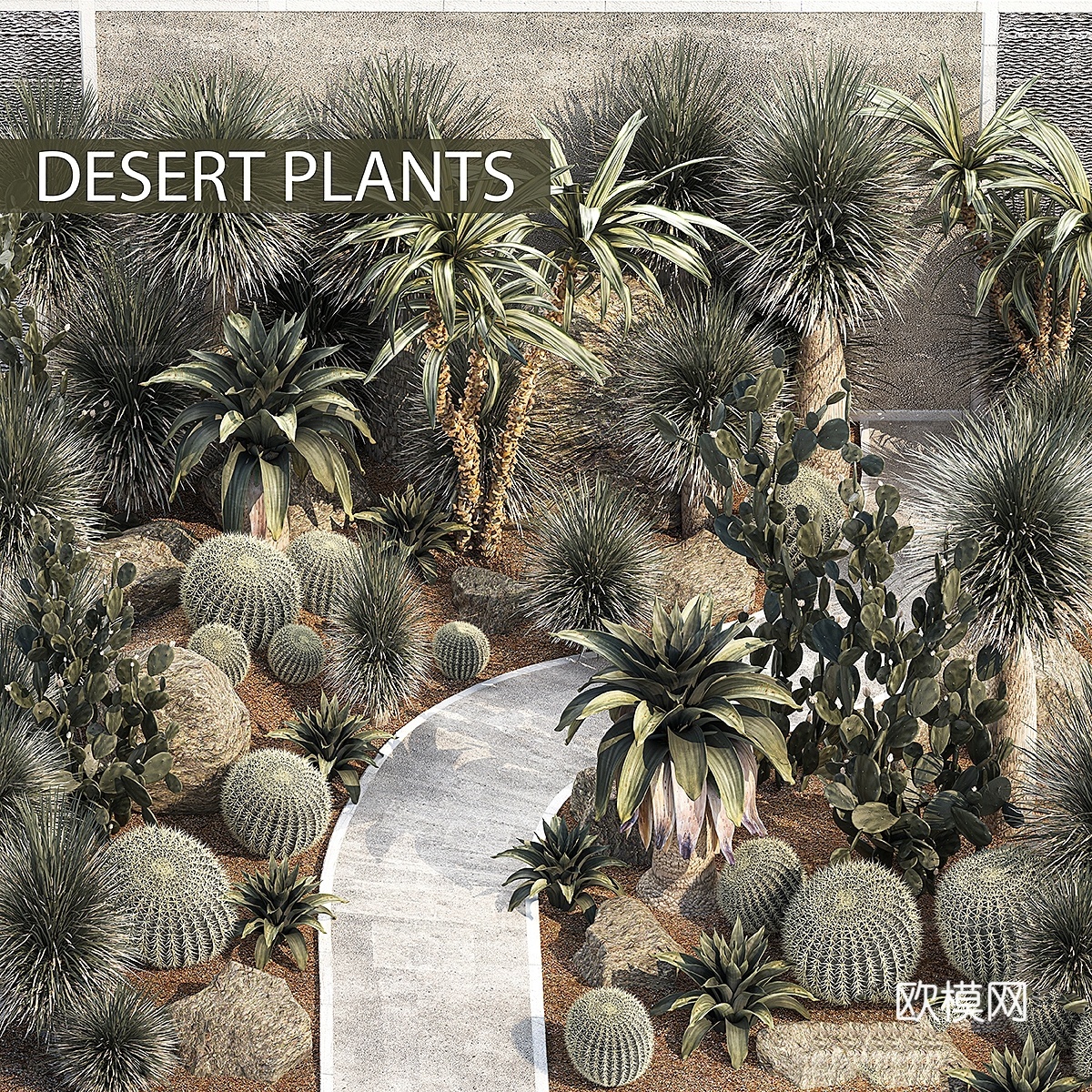 沙漠植物仙人掌、丝兰和凤梨花园3d模型