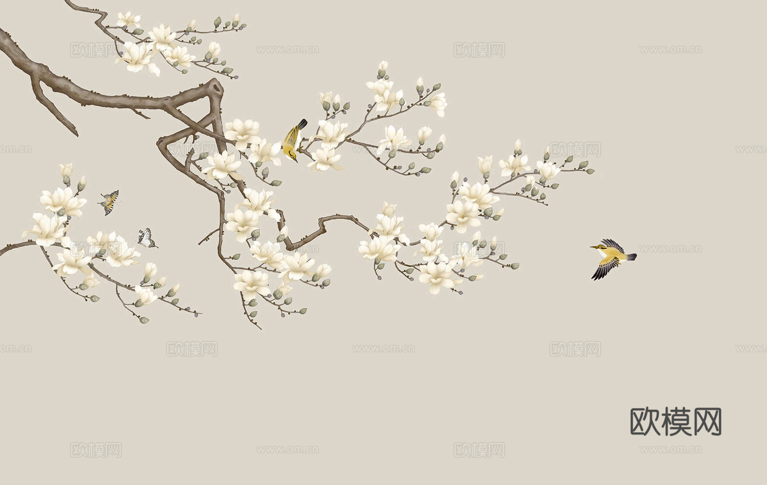 玉兰花壁纸