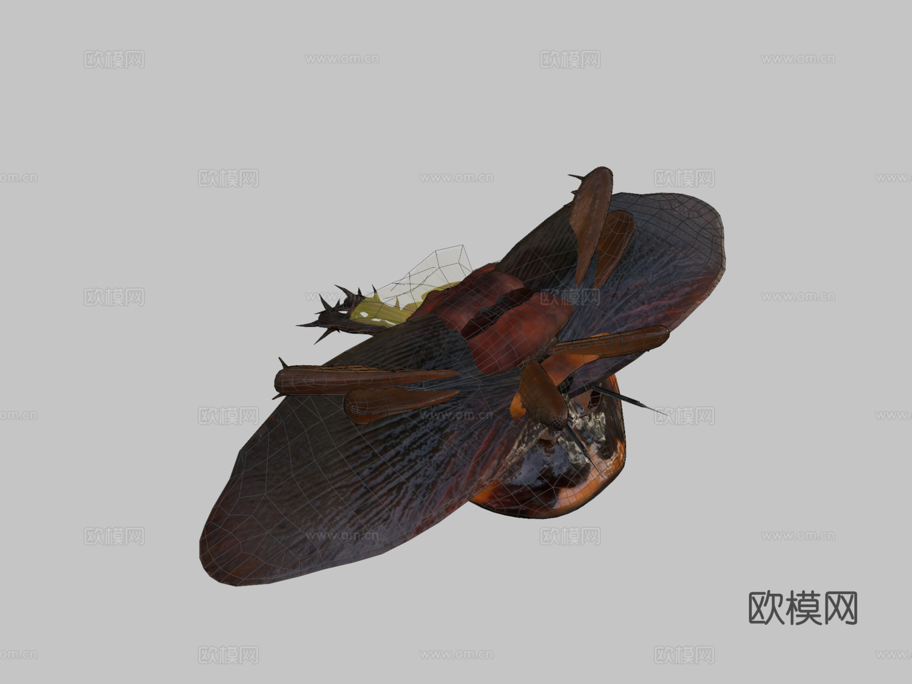 美洲蟑螂su模型下载（渲染图2）