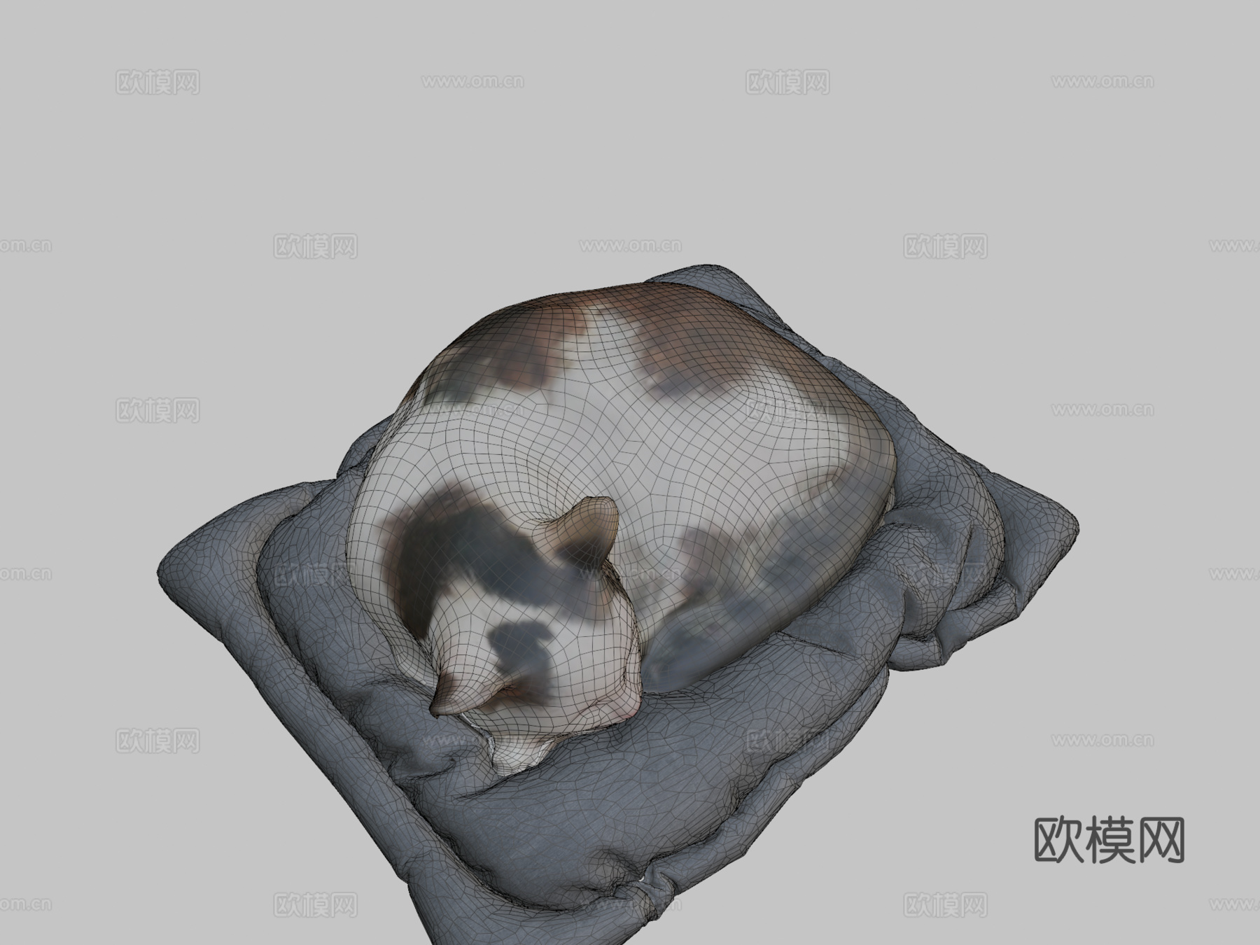 猫su模型