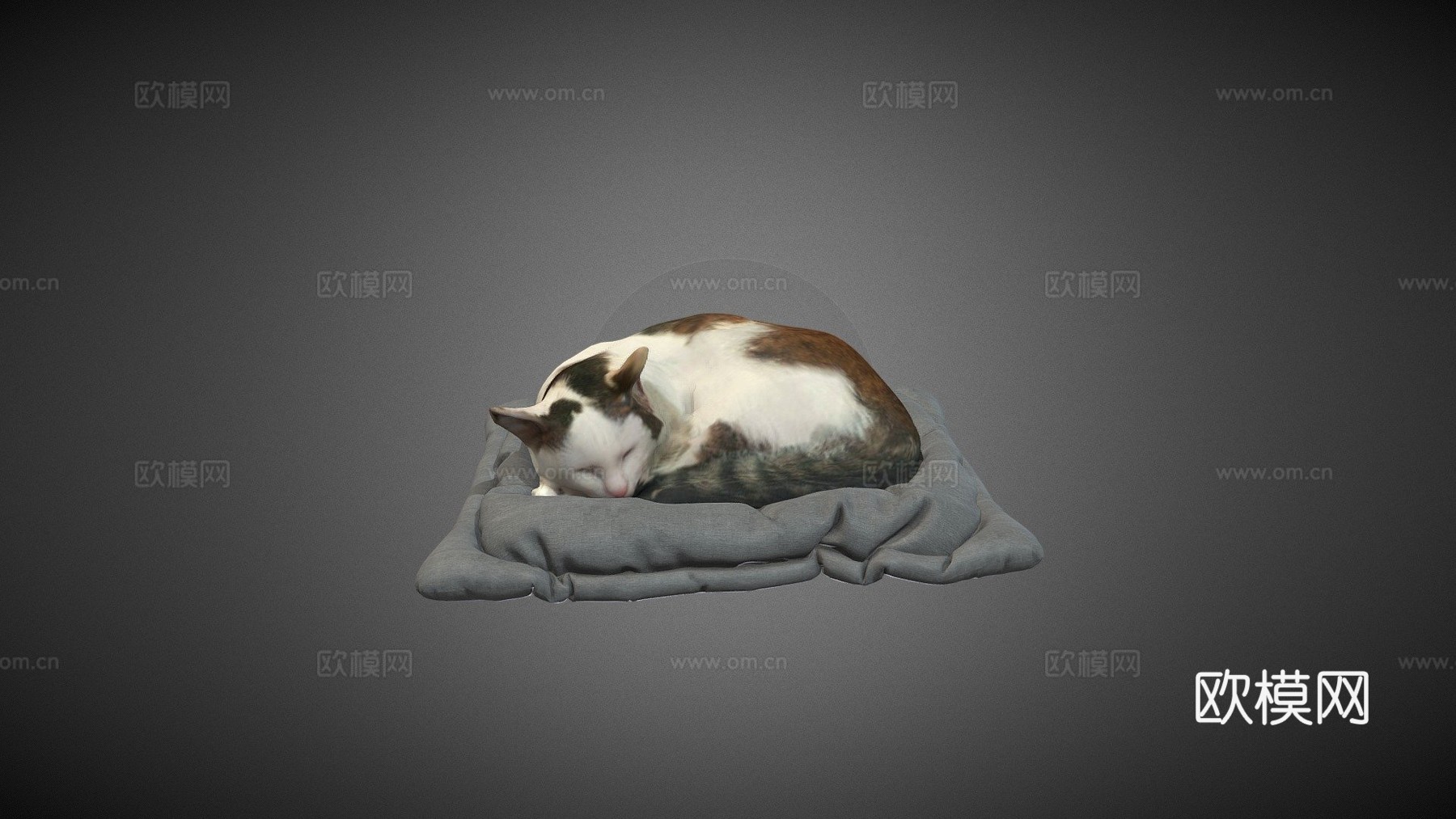 猫su模型
