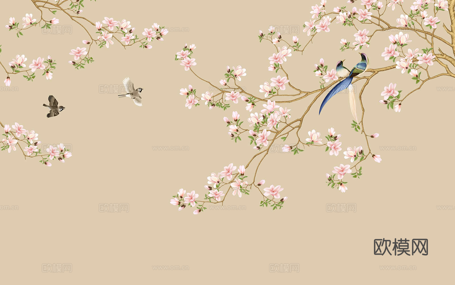 玉兰花鸟壁纸