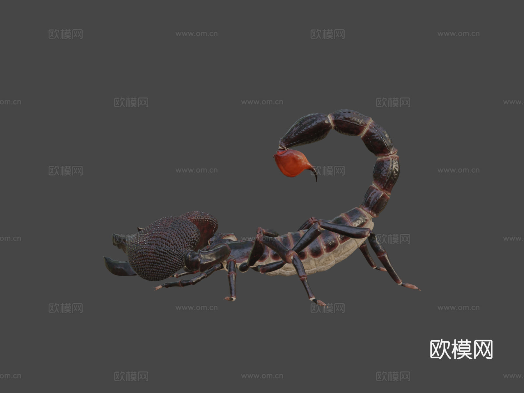 蝎子su模型下载（渲染图7）