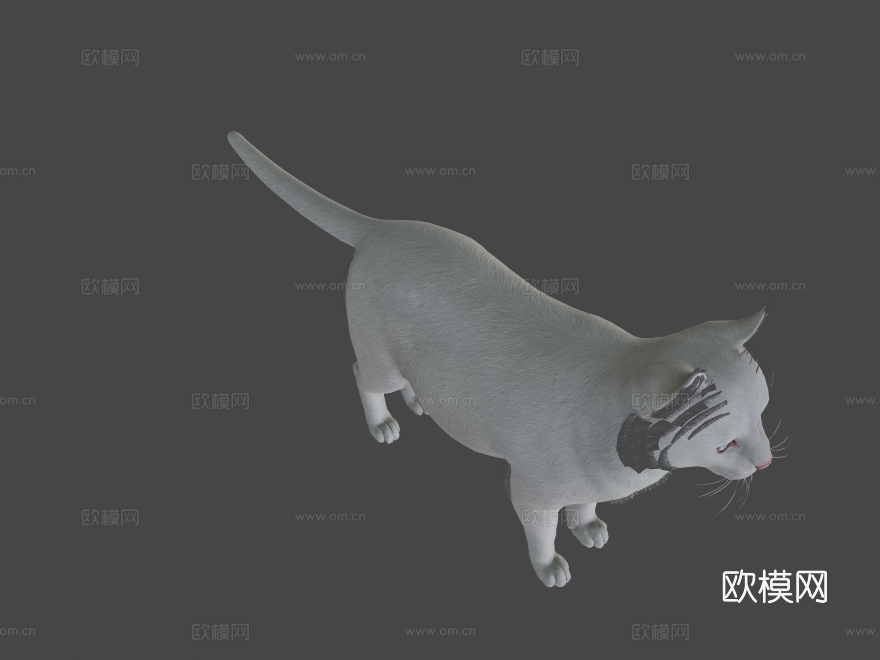胖猫su模型