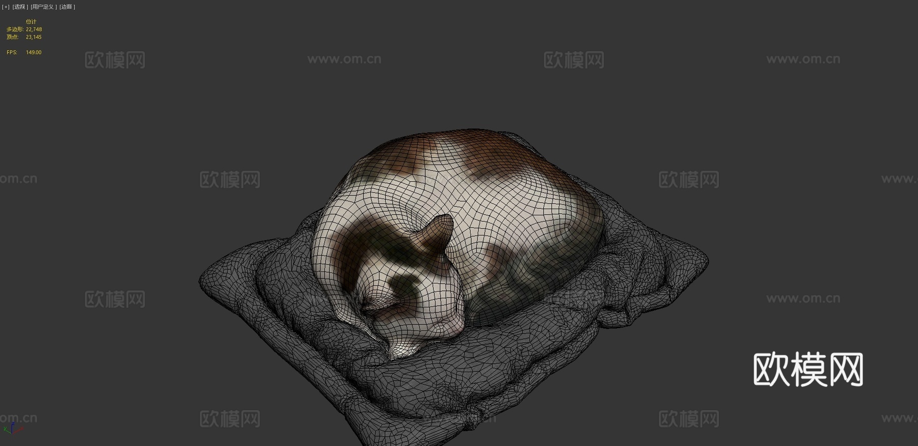 猫su模型