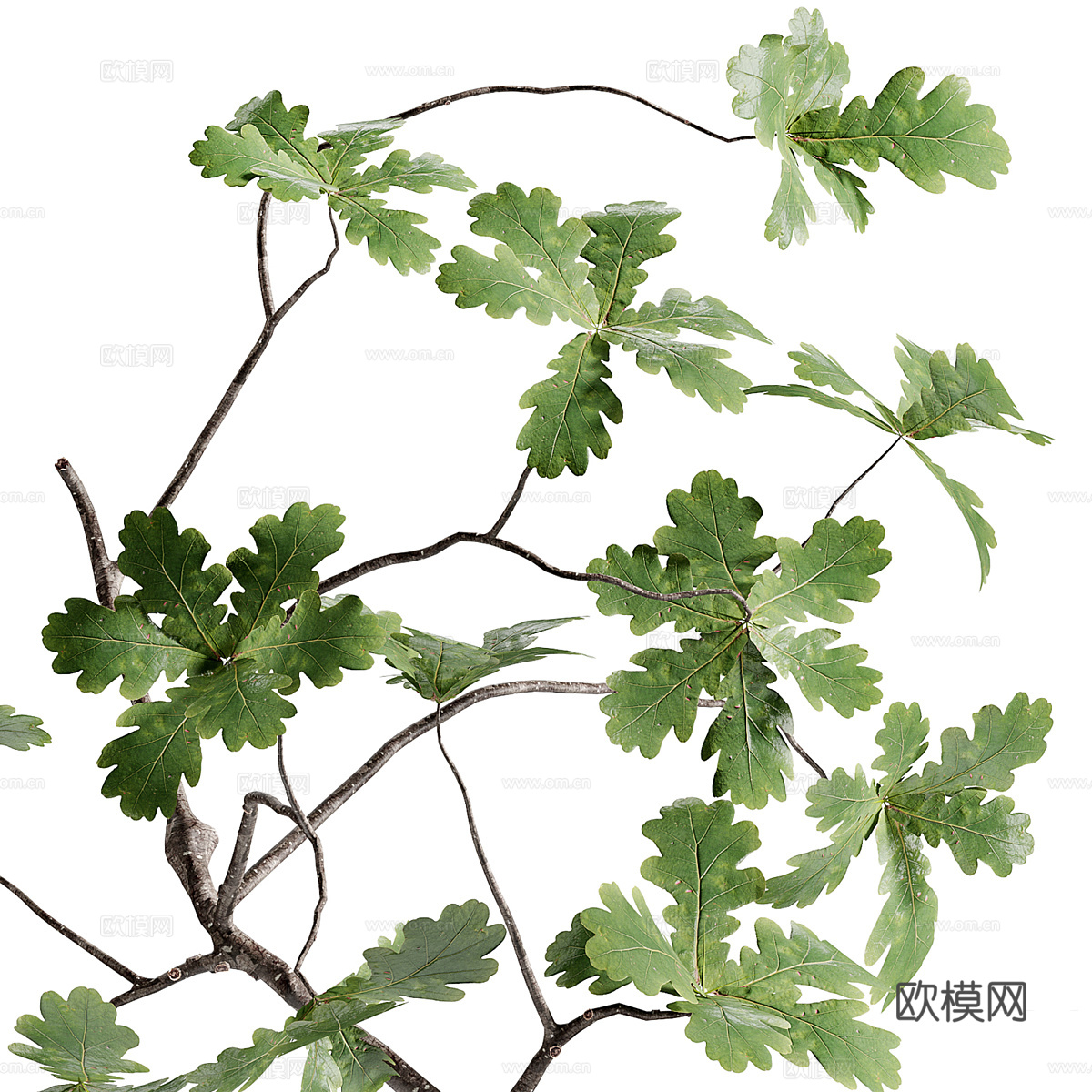 现代绿植花艺装饰盆景3d模型下载（渲染图4）