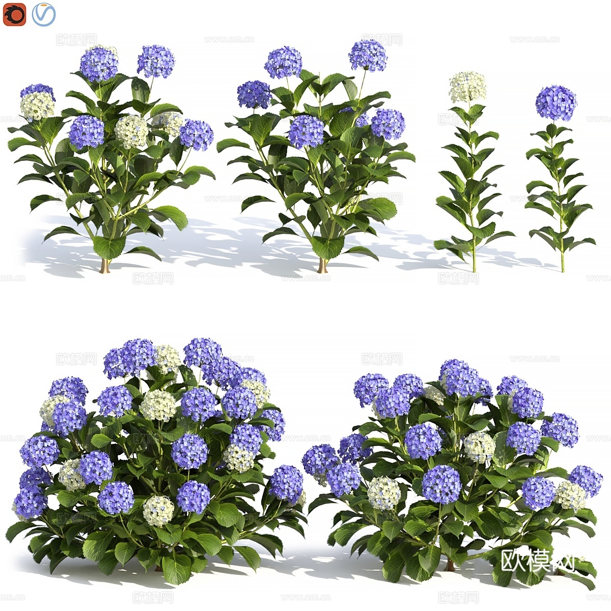 绣球花3d模型下载