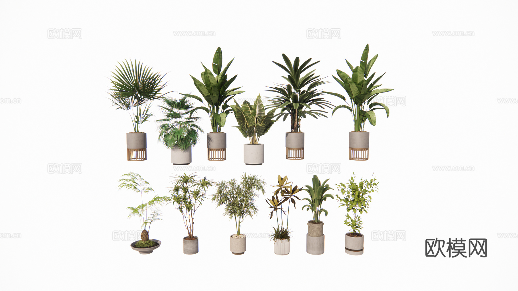 植物 盆栽树su模型