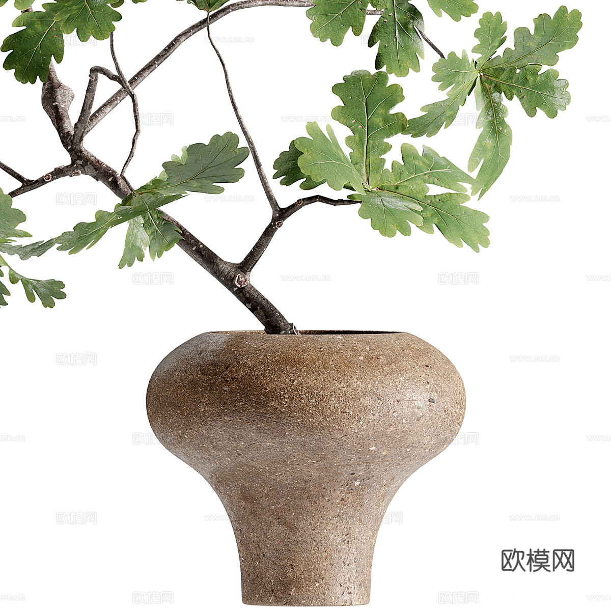 现代绿植花艺装饰盆景3d模型下载（渲染图2）