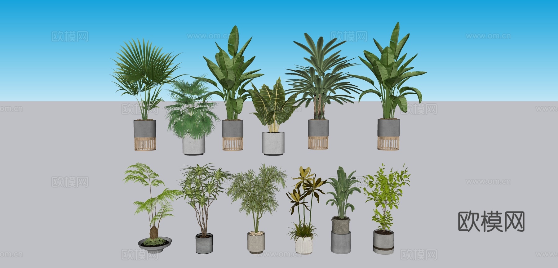 植物 盆栽树su模型