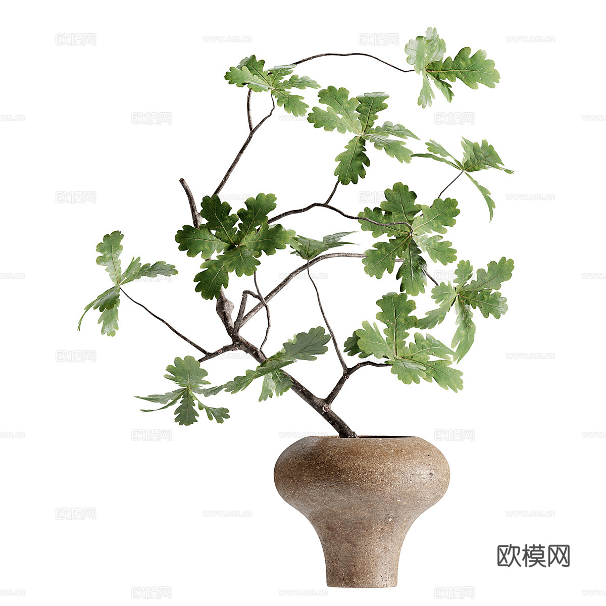 现代绿植花艺装饰盆景3d模型下载（渲染图3）