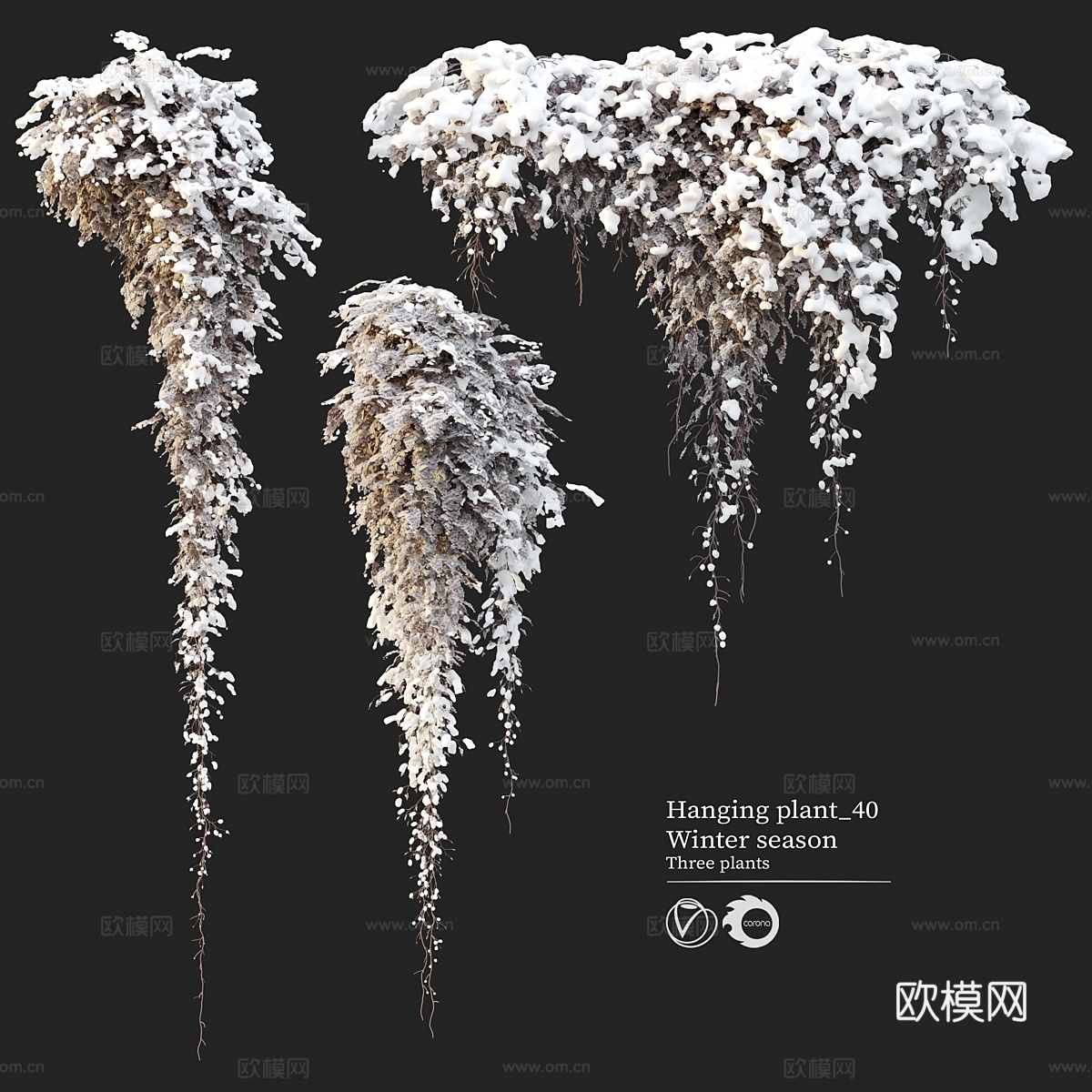 悬挂植物 403d模型下载