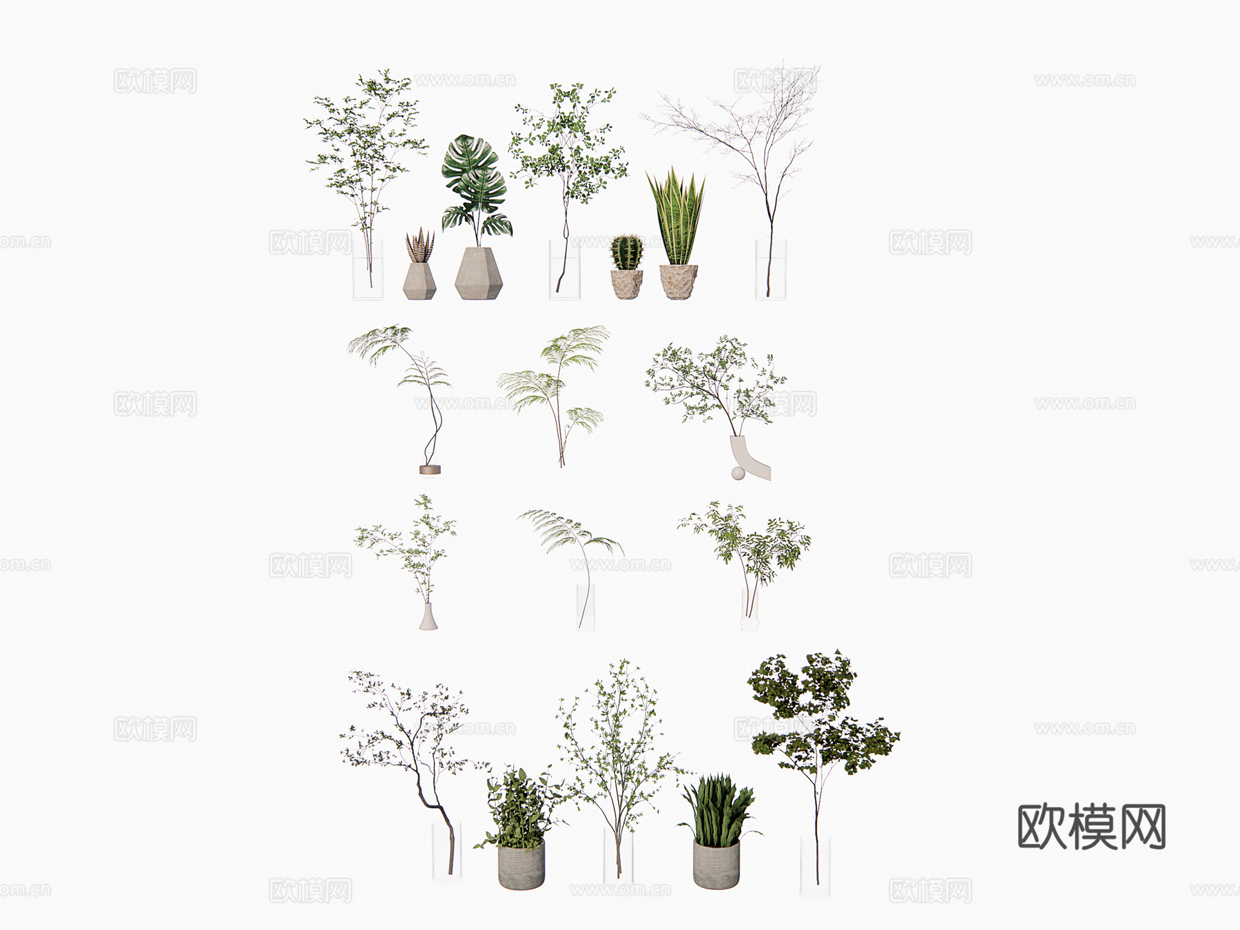 植物 盆栽su模型