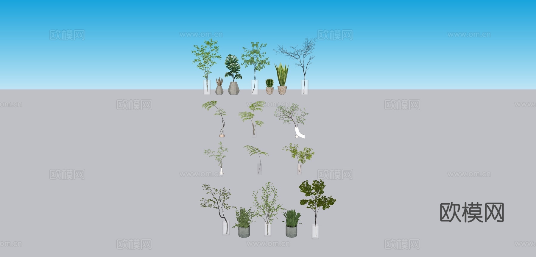 植物 盆栽su模型