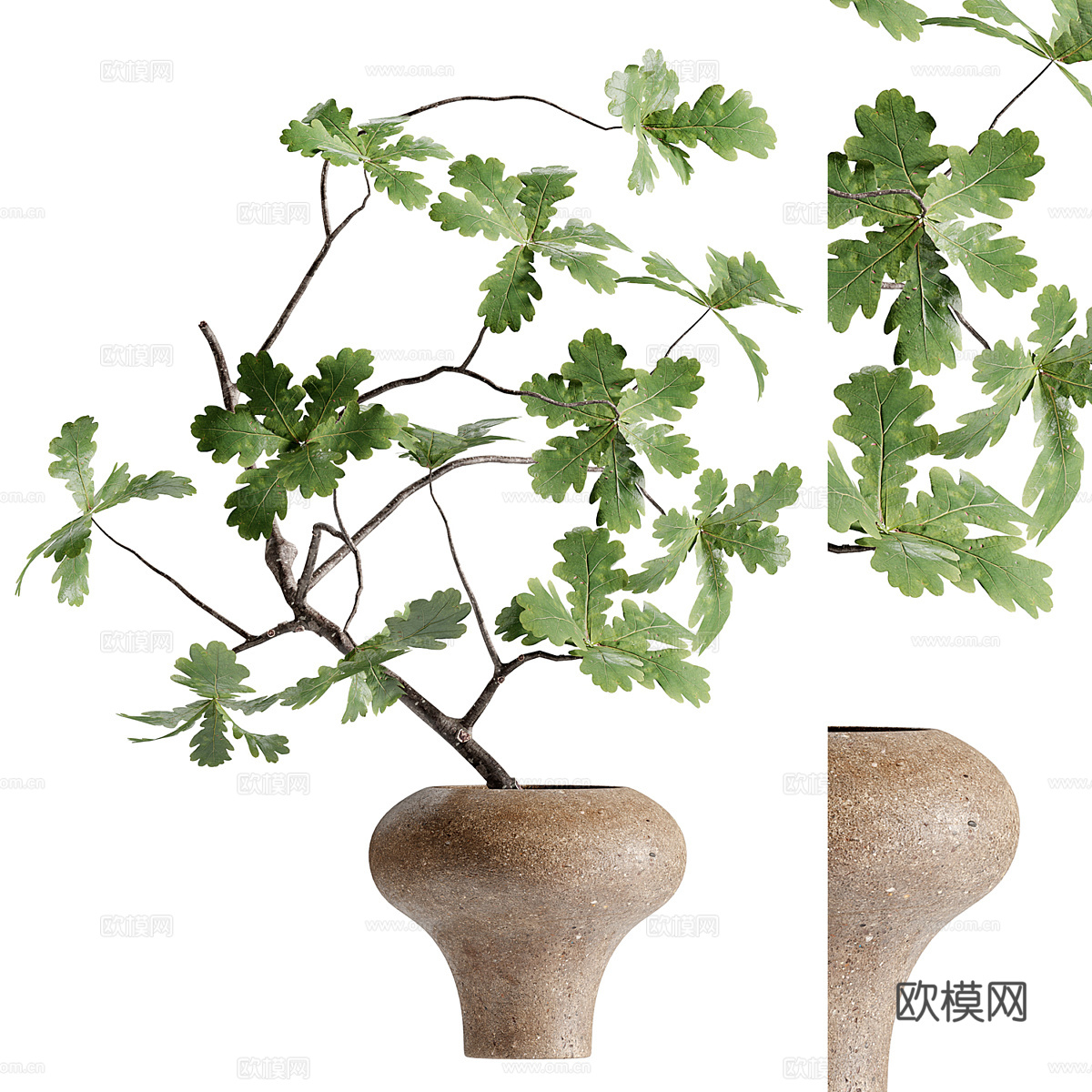 现代绿植花艺装饰盆景3d模型下载（渲染图1）