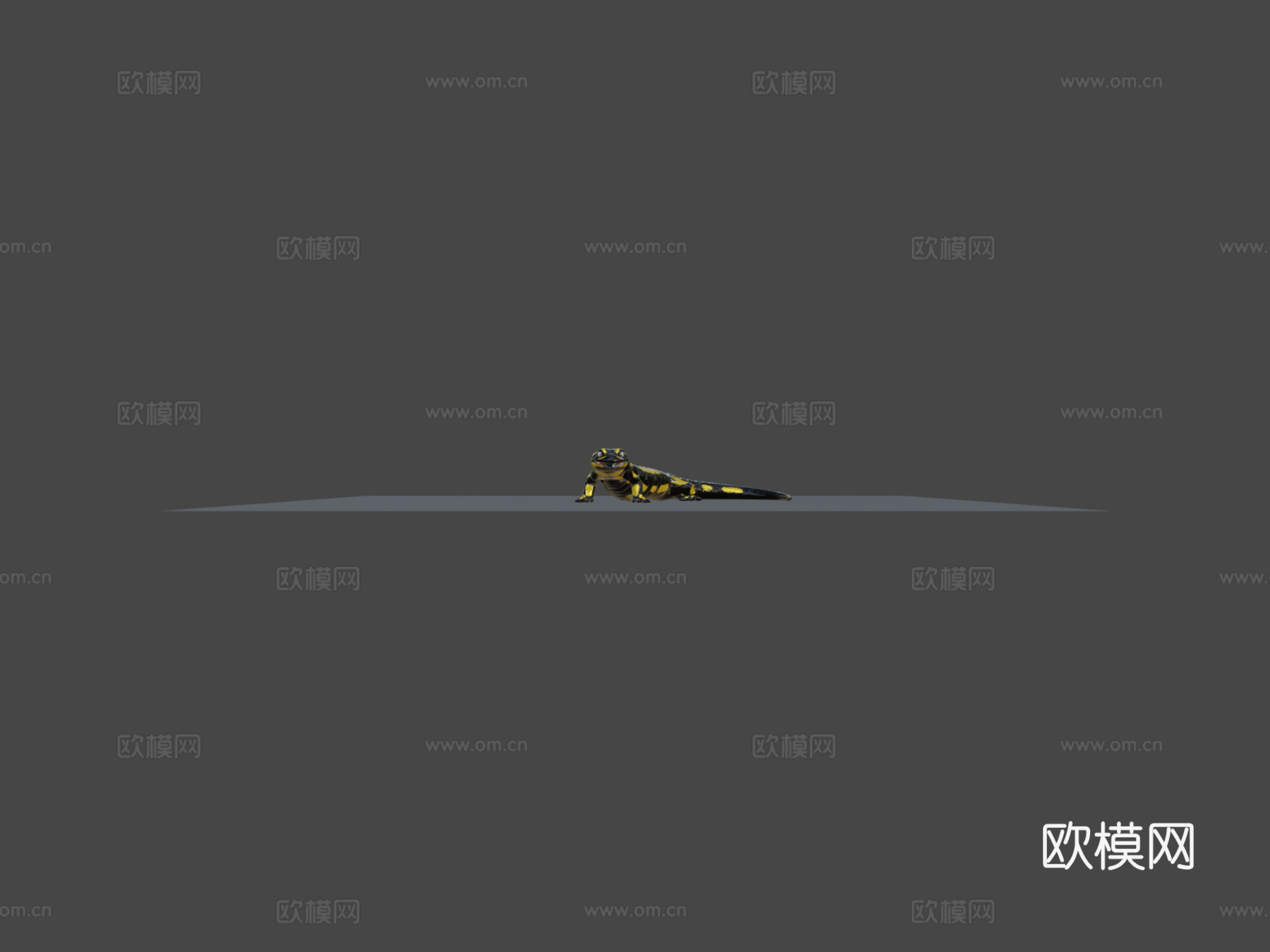 火蝾螈 - 萨拉曼德拉蝾螈su模型