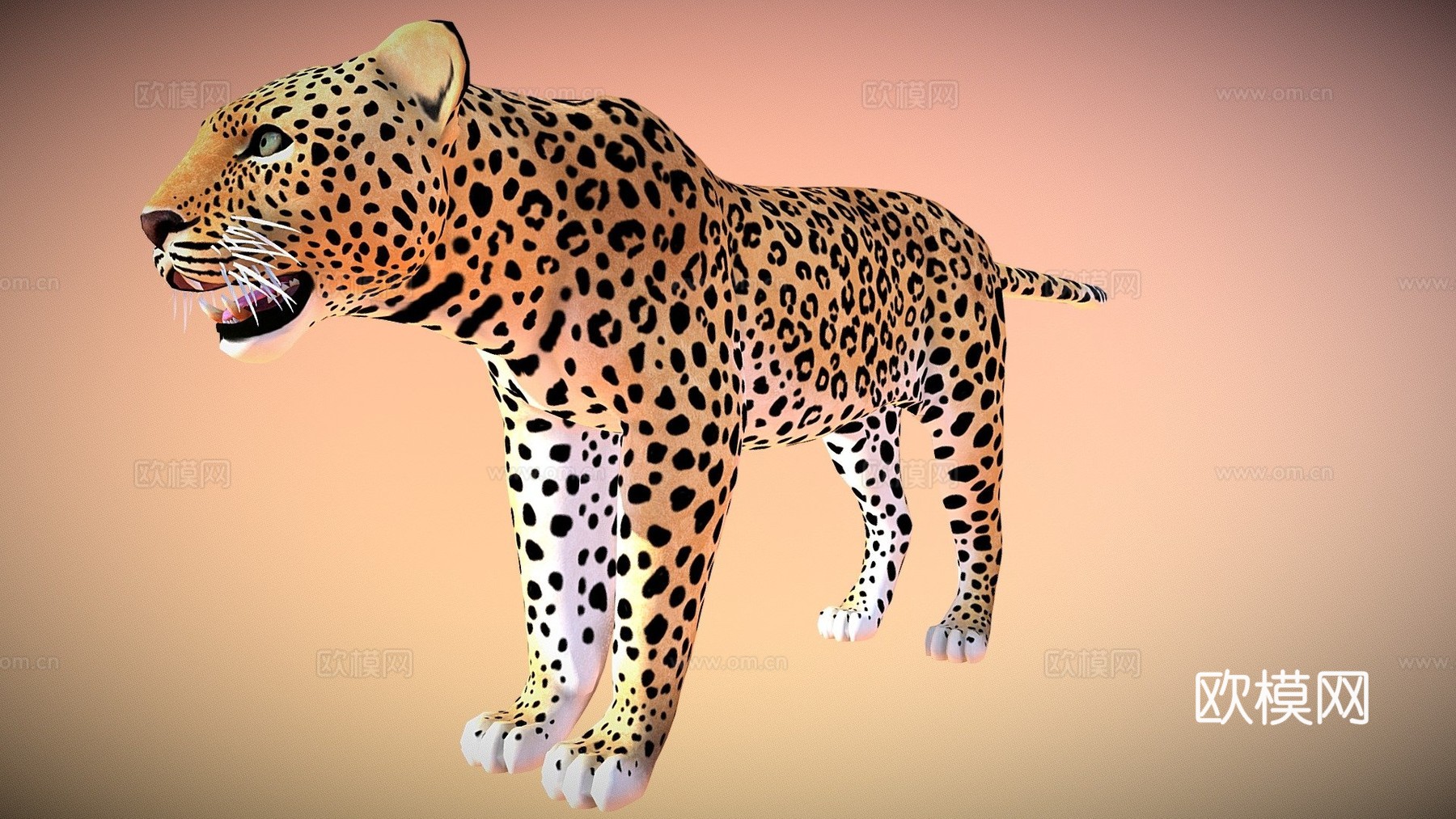 豹su模型下载（渲染图1）