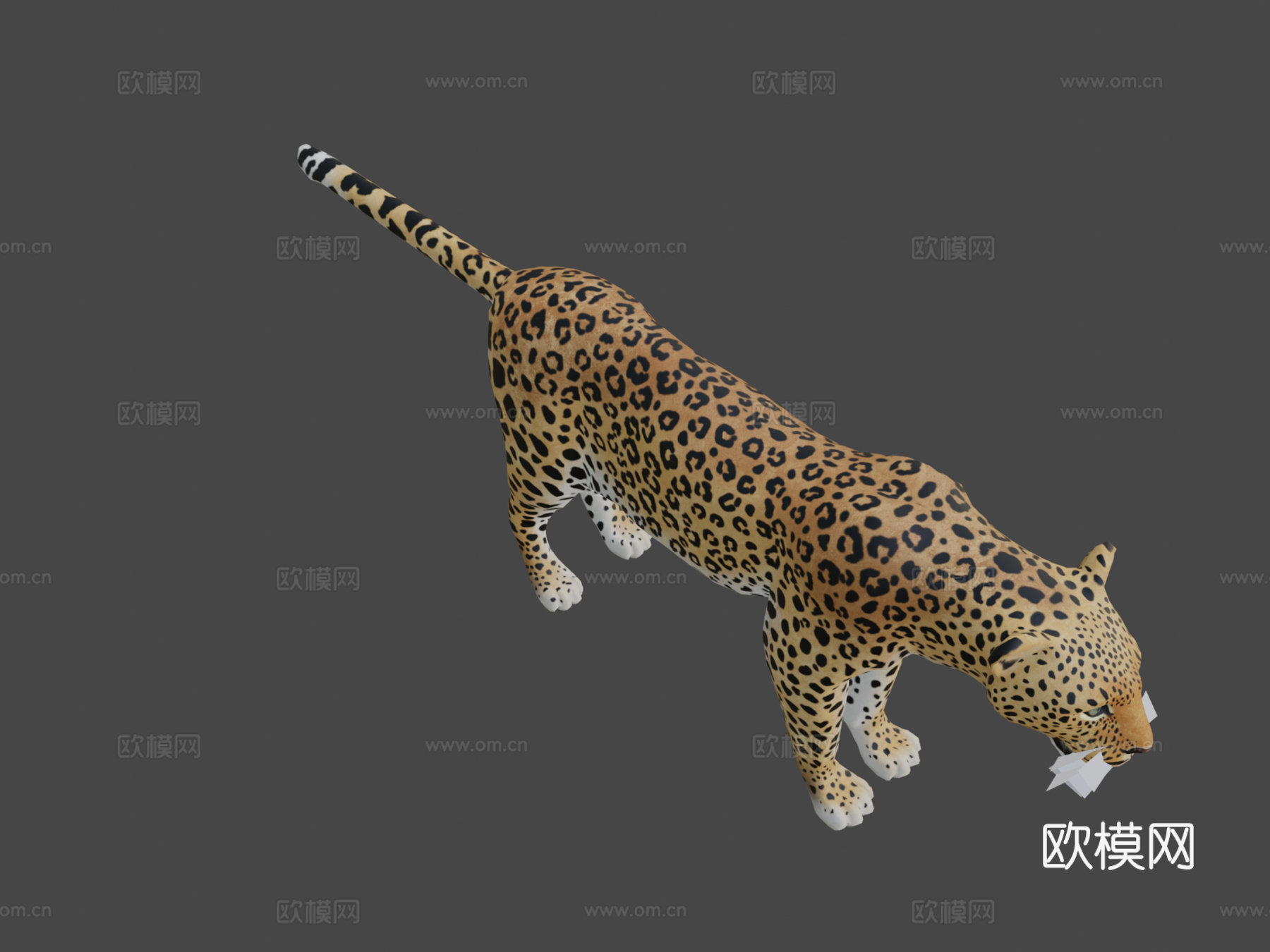 豹su模型下载（渲染图7）