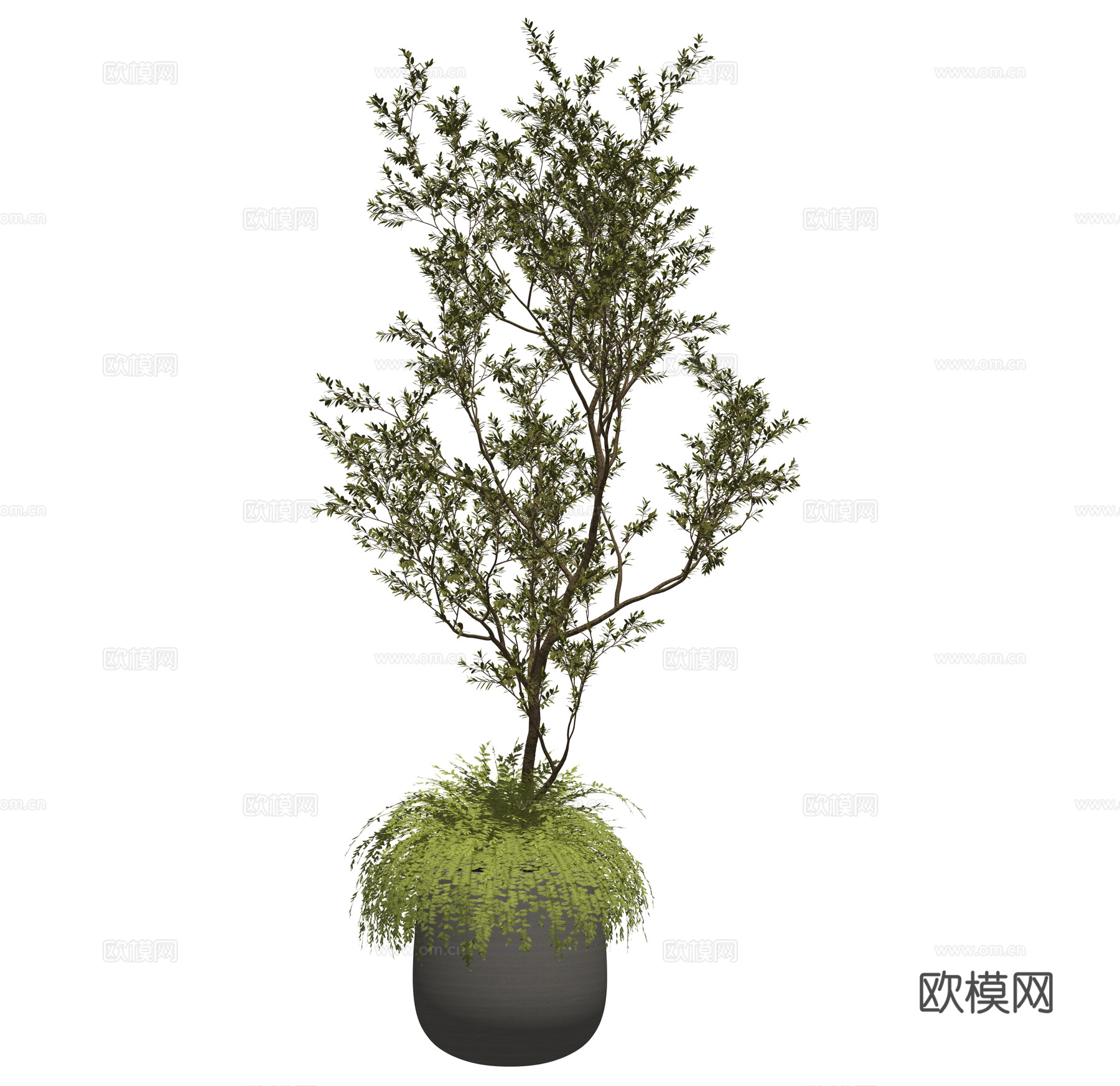绿植盆栽 植物盆栽 花坛su模型
