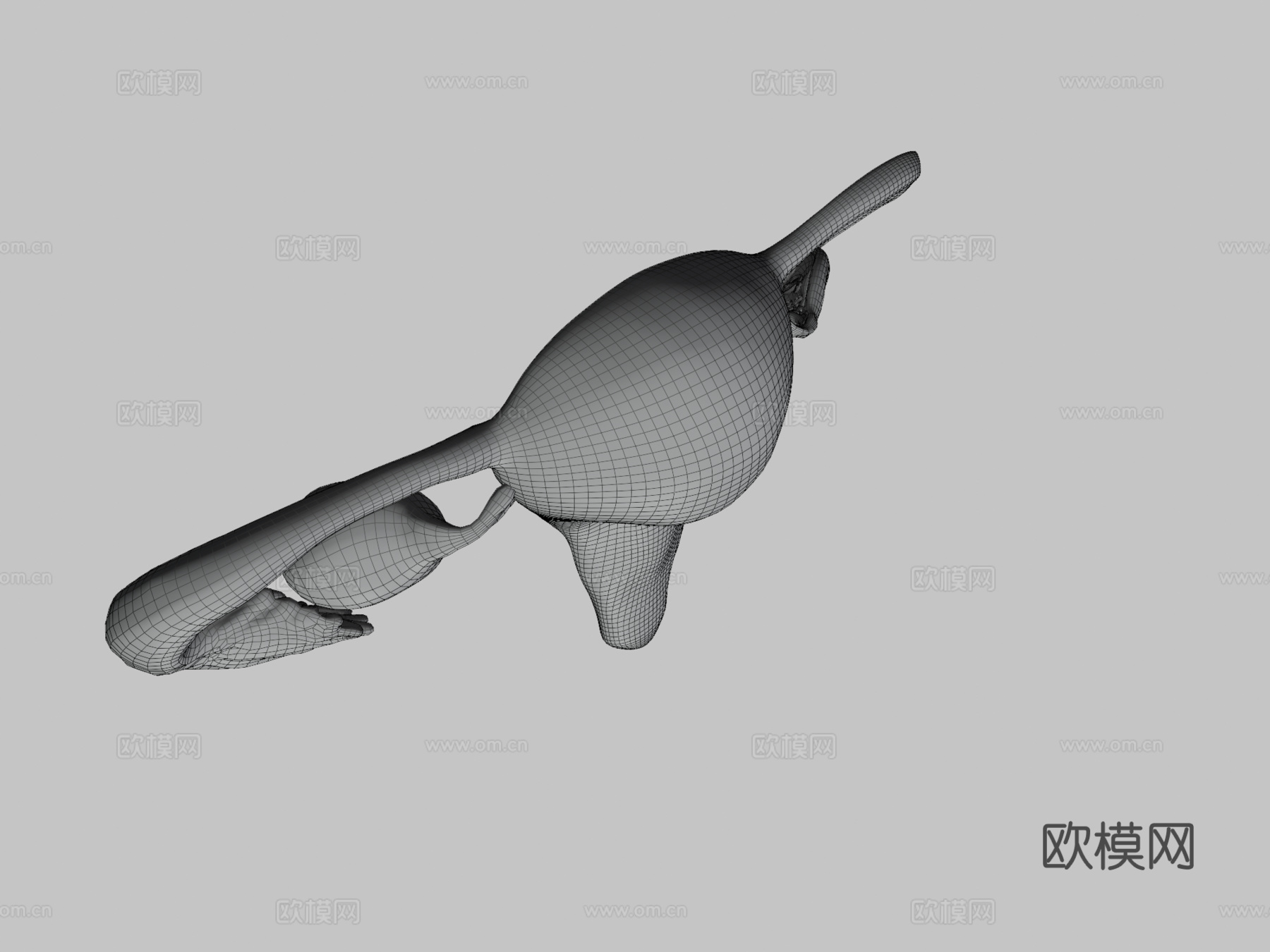 子宫脱落su模型下载（渲染图3）