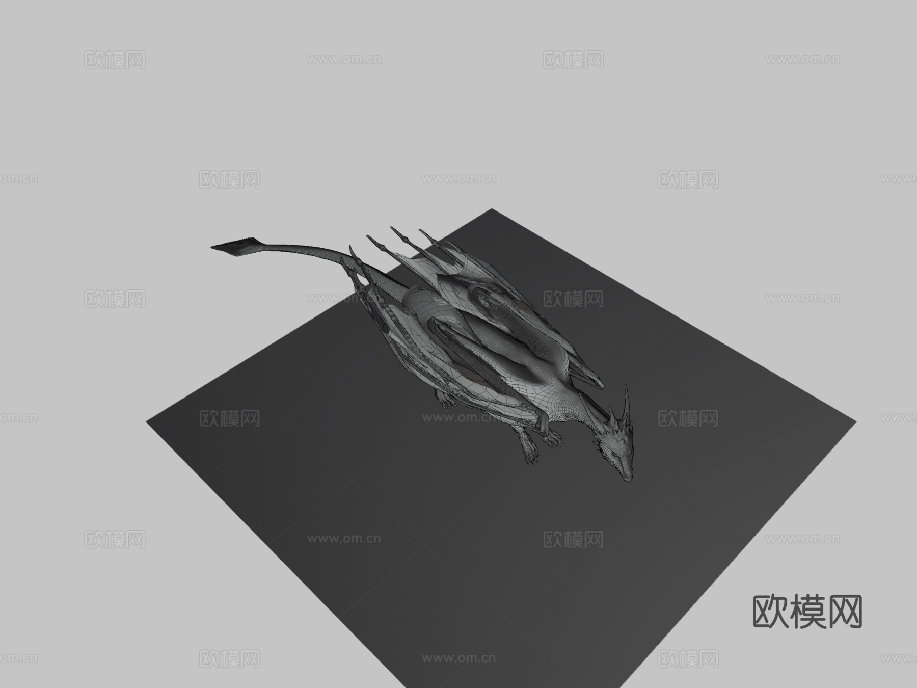龙su模型