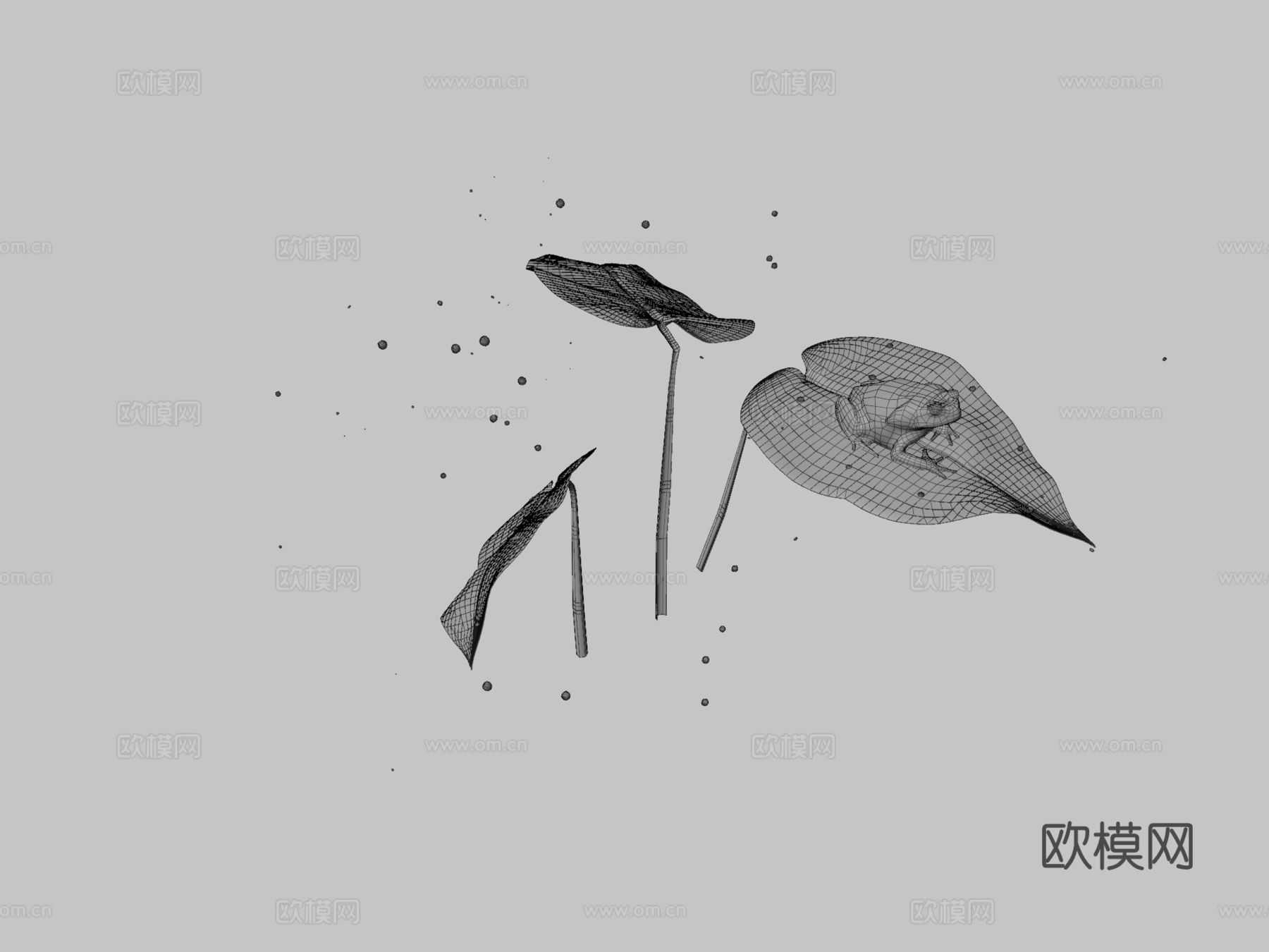 蟾蜍su模型