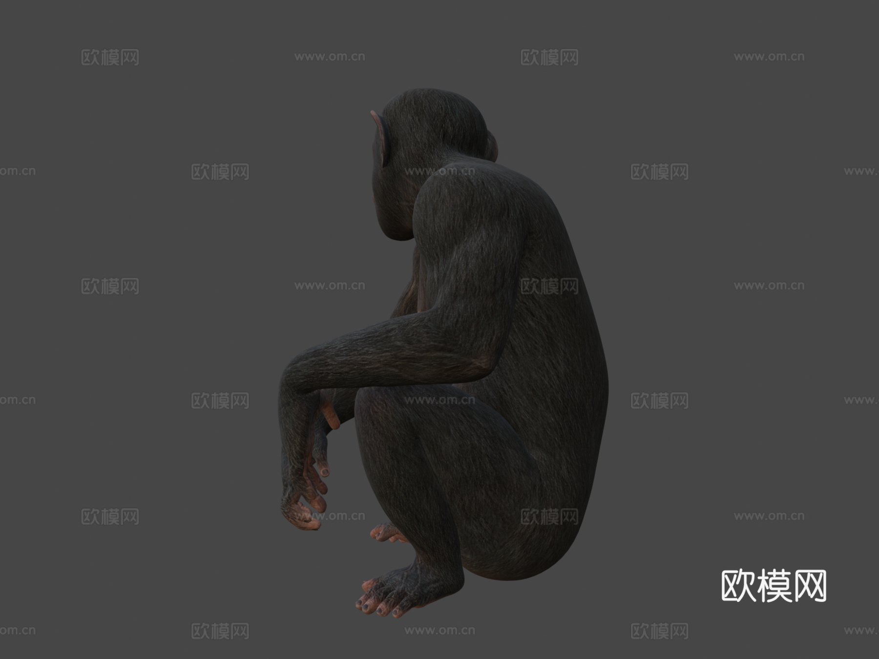 猿su模型下载（渲染图7）