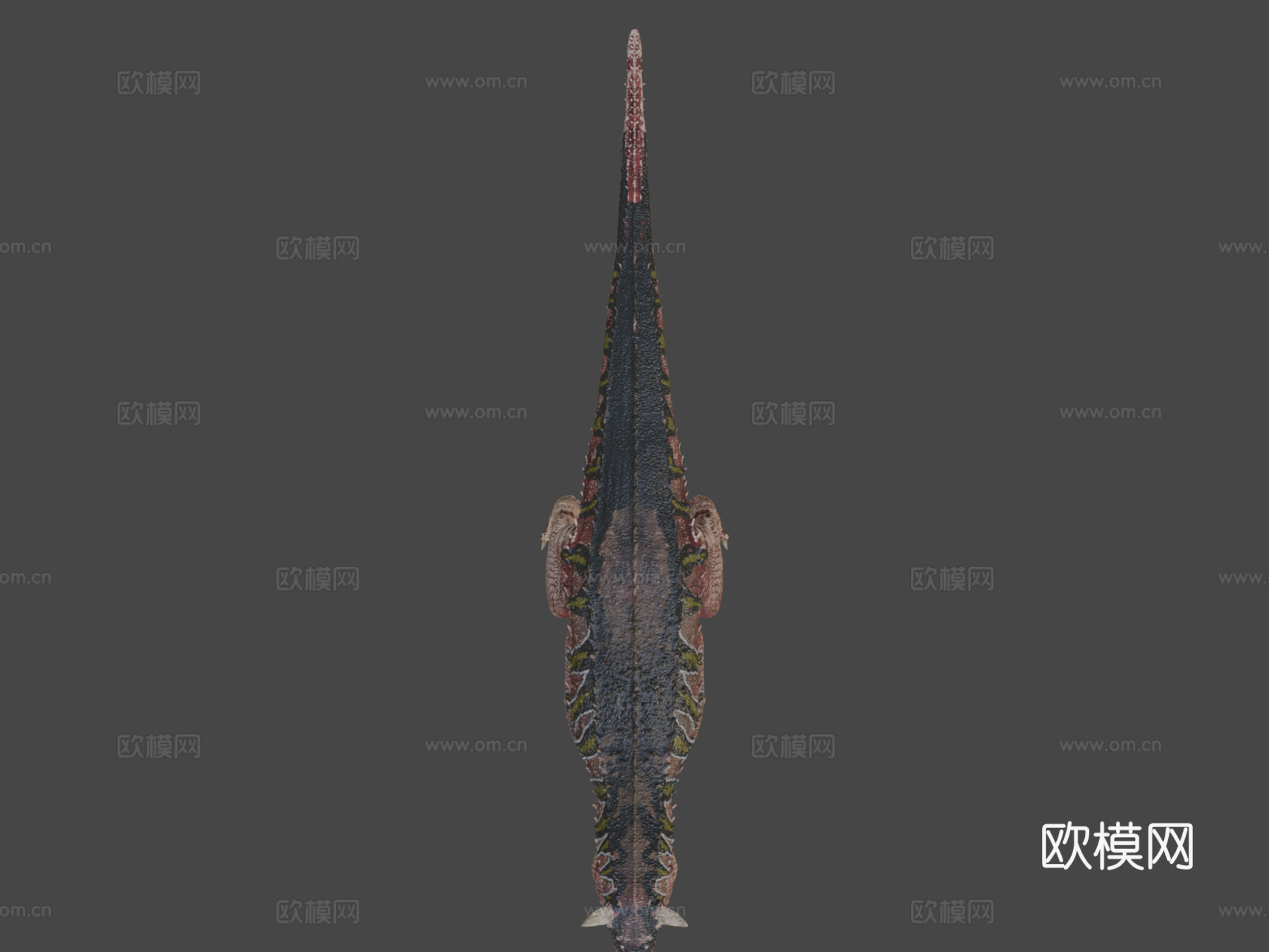 食肉牛龙su模型下载（渲染图7）