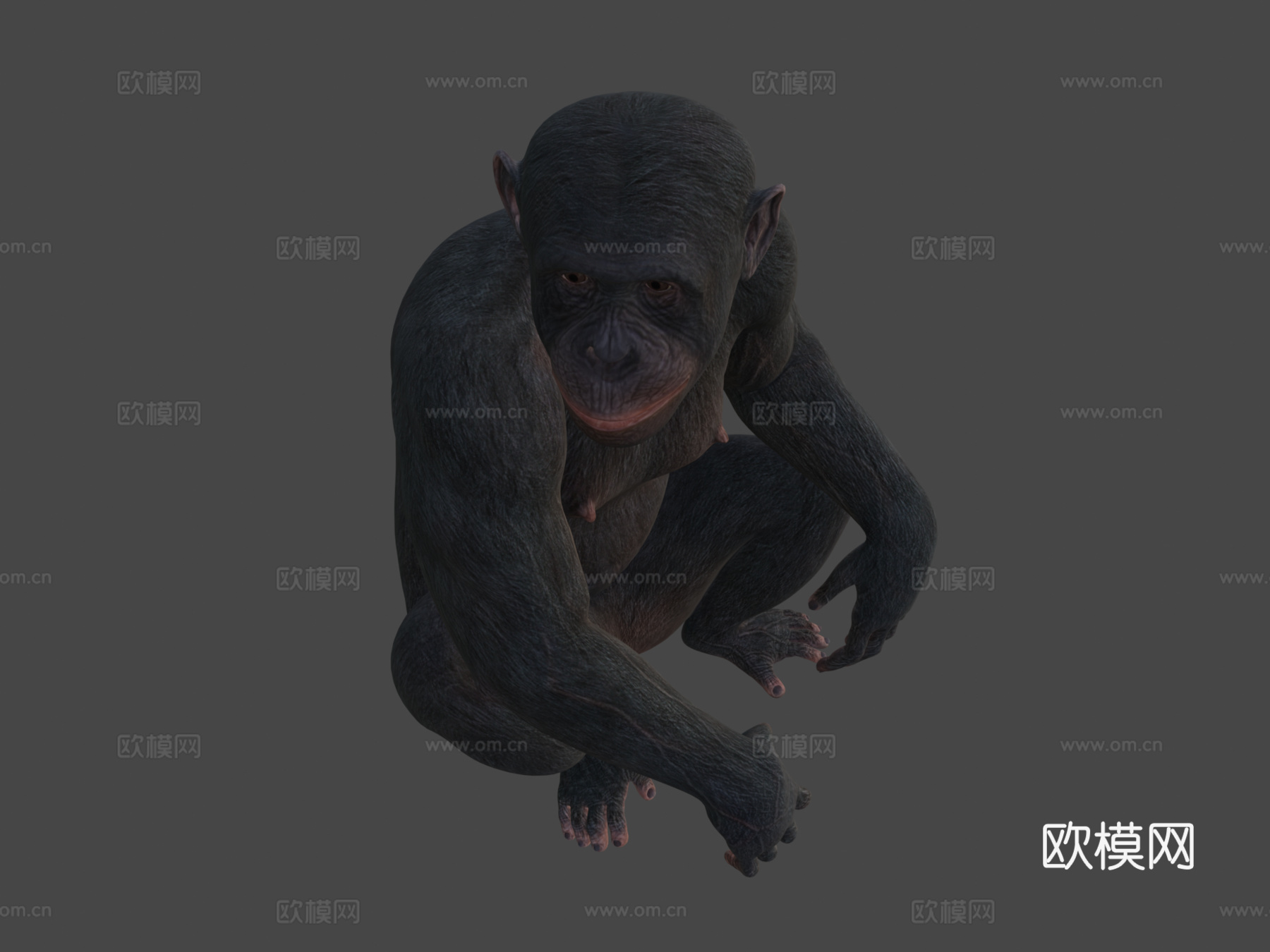 猿su模型下载（渲染图6）