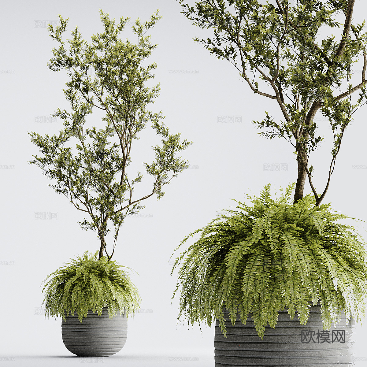 绿植盆栽 植物盆栽 花坛su模型