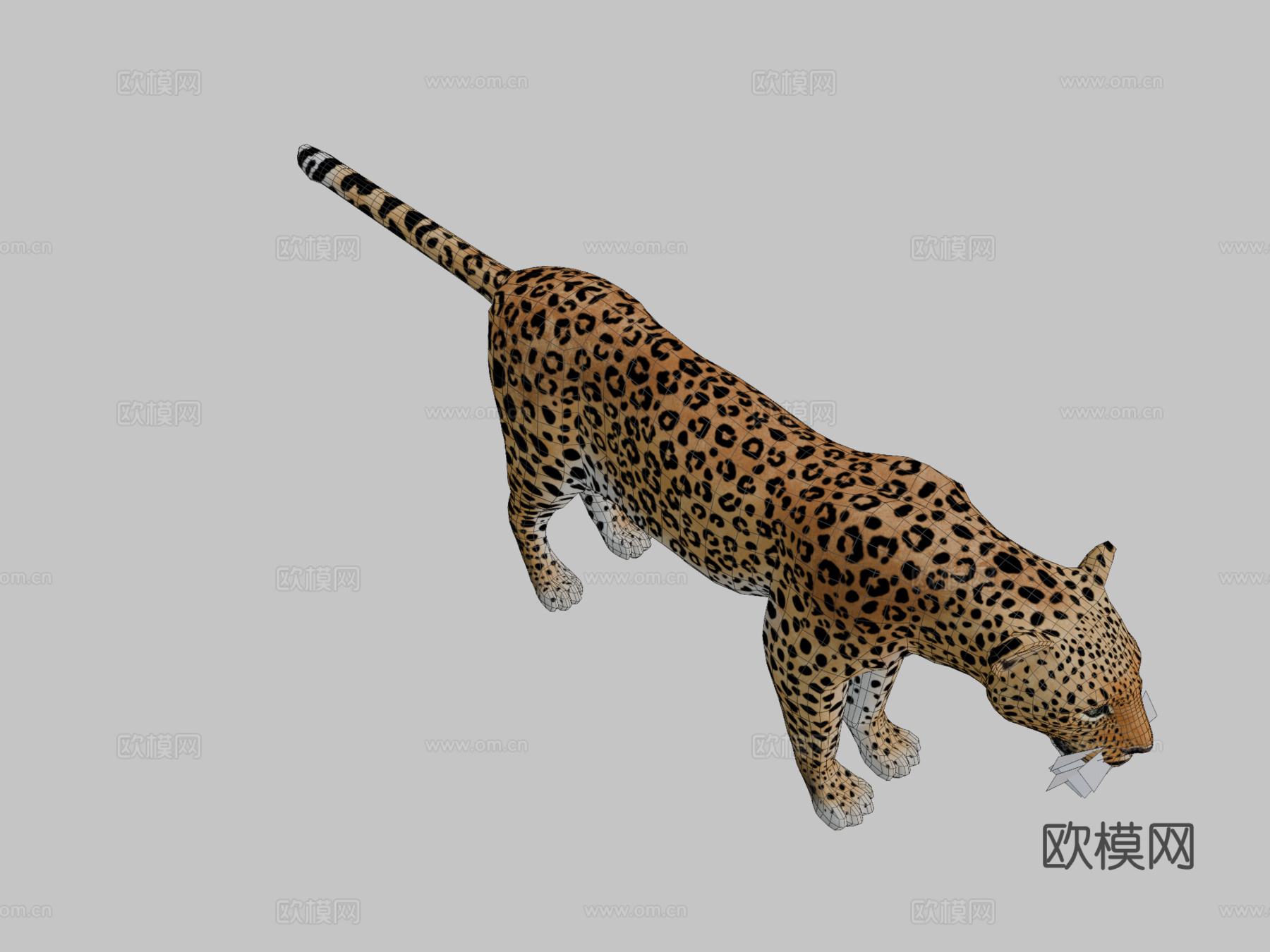 豹su模型下载（渲染图2）