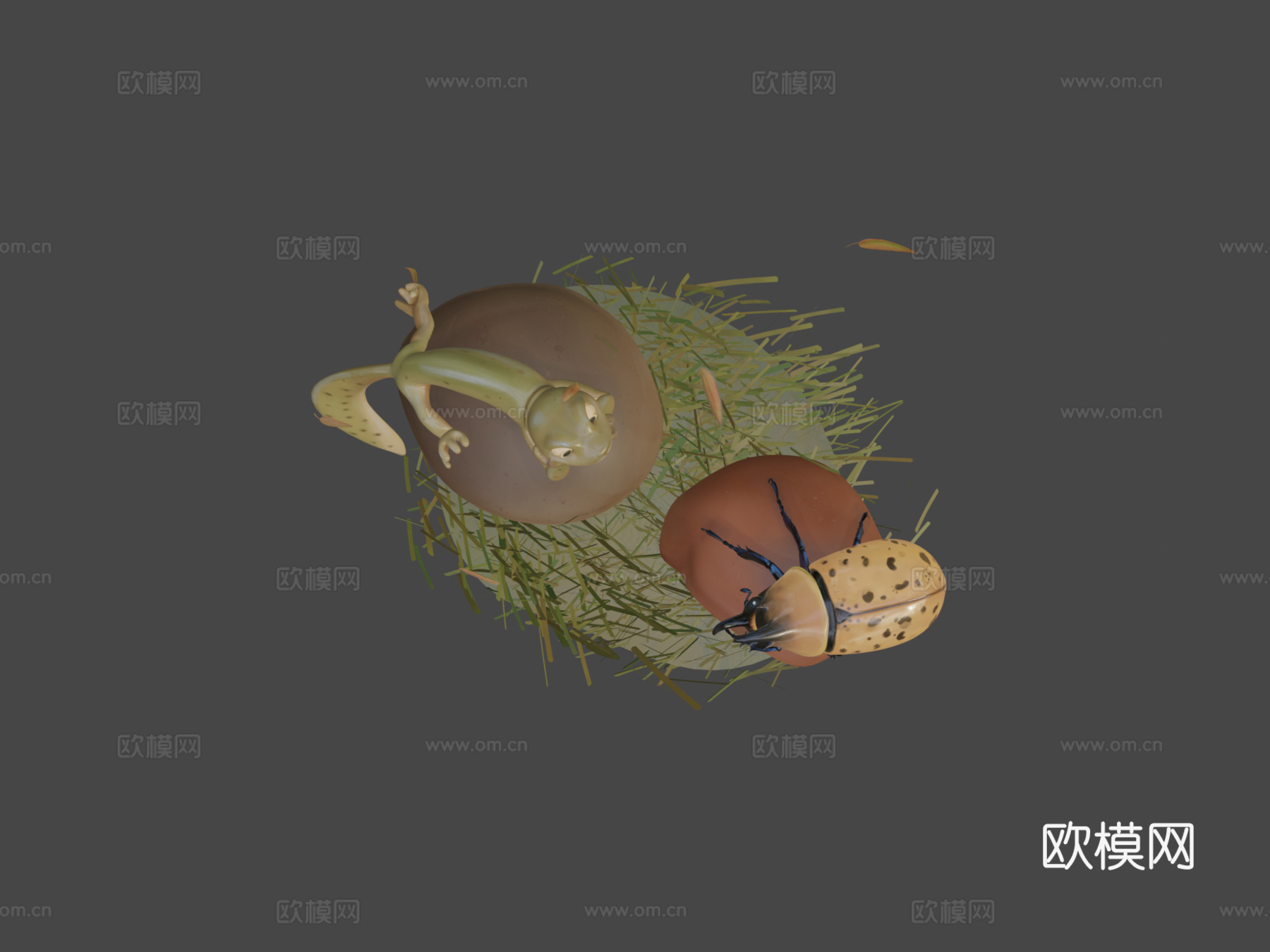 蝾螈su模型