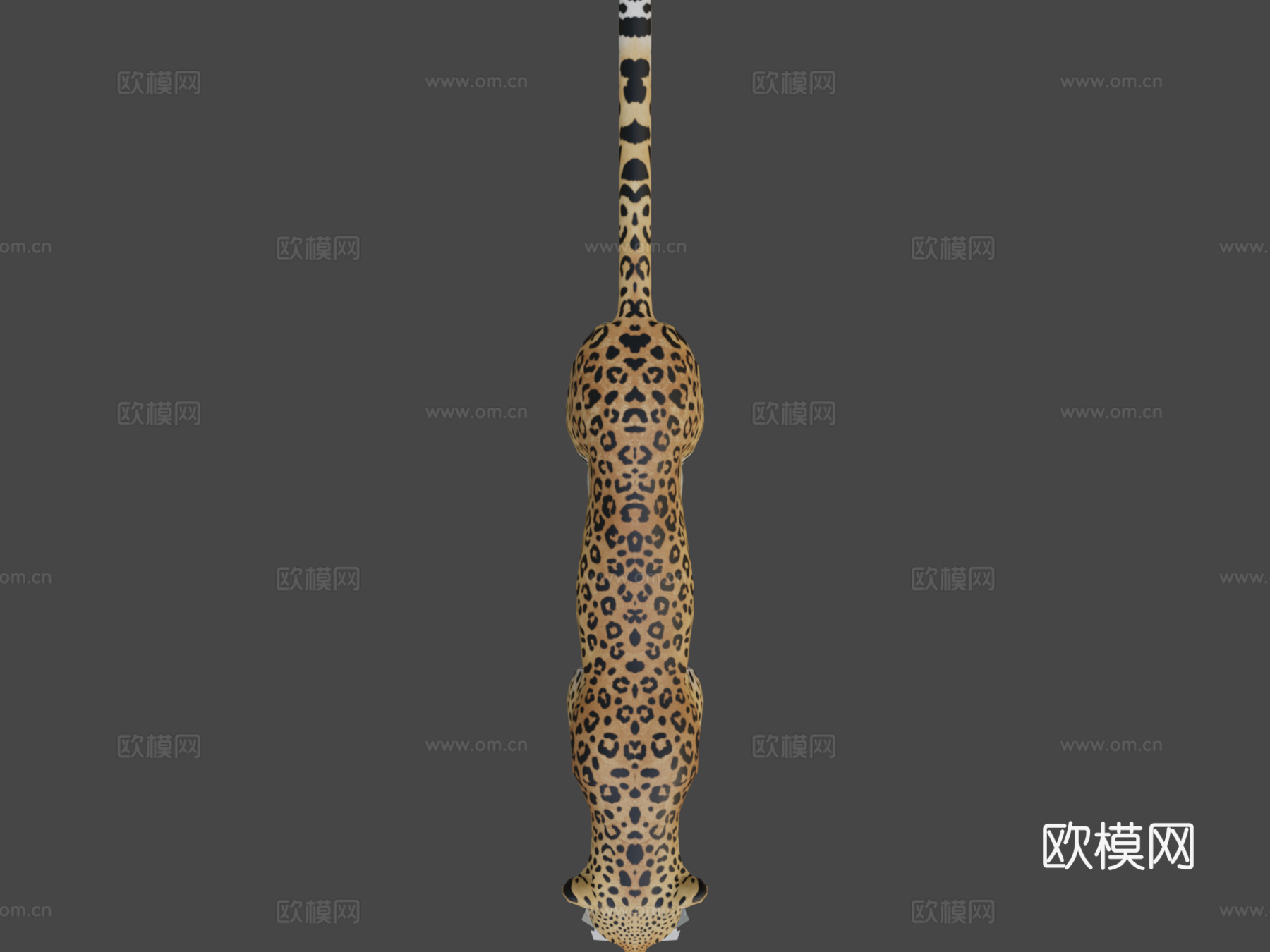 豹su模型下载（渲染图5）