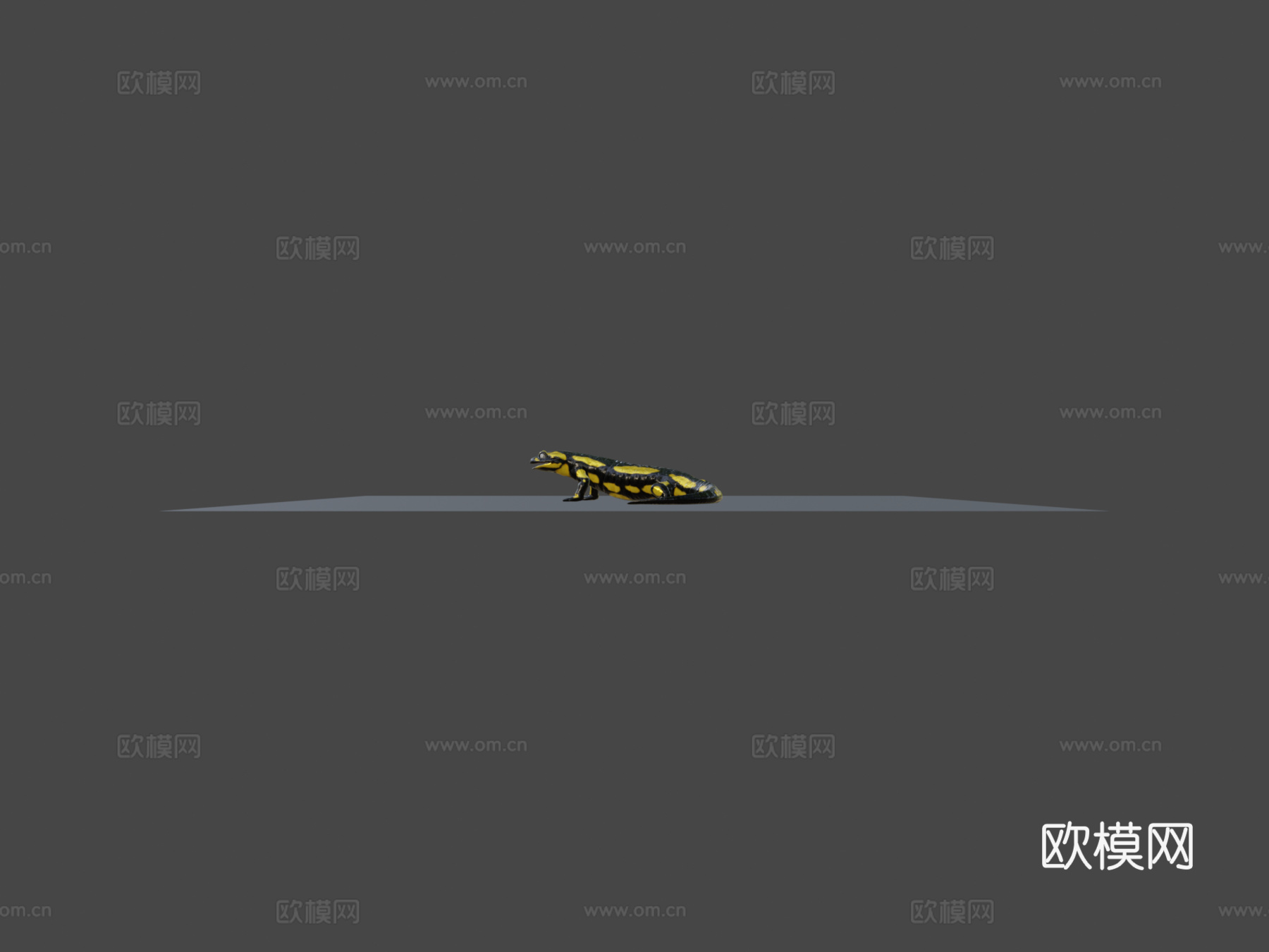 火蝾螈 - 萨拉曼德拉蝾螈su模型