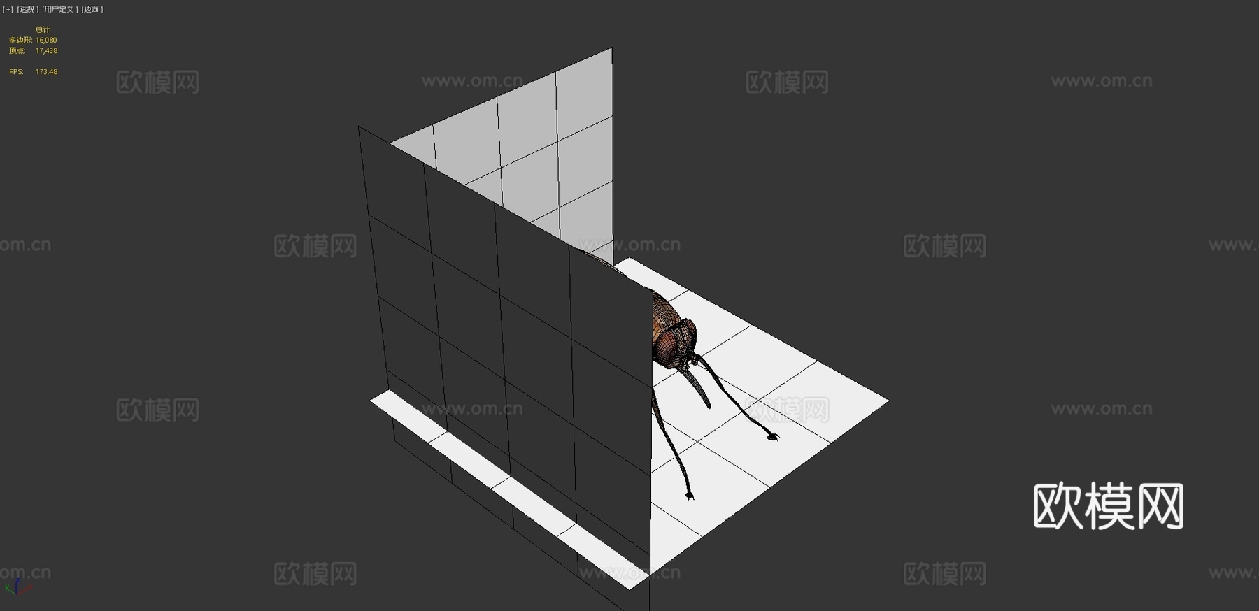 采采蝇纹理su模型