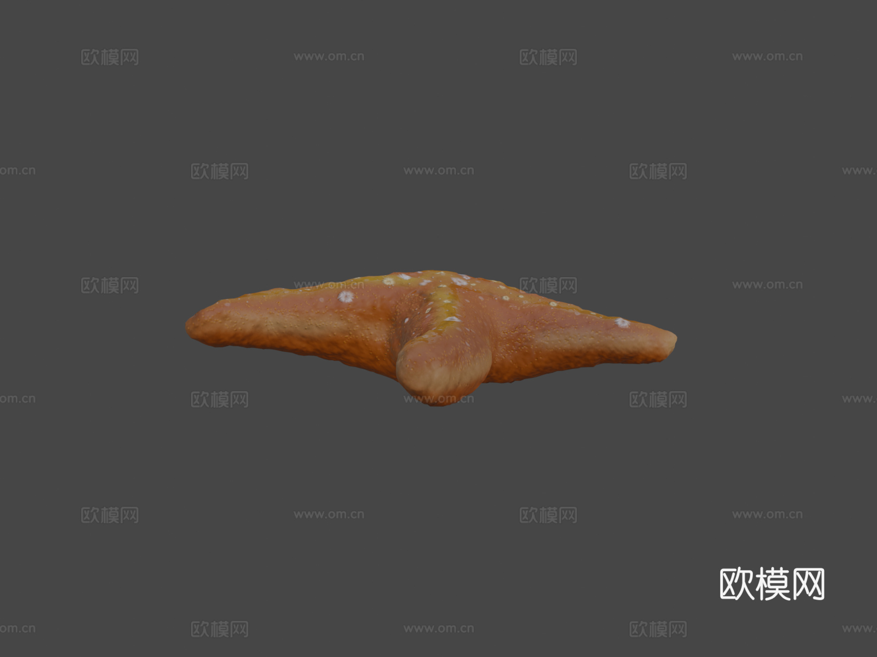 海星su模型