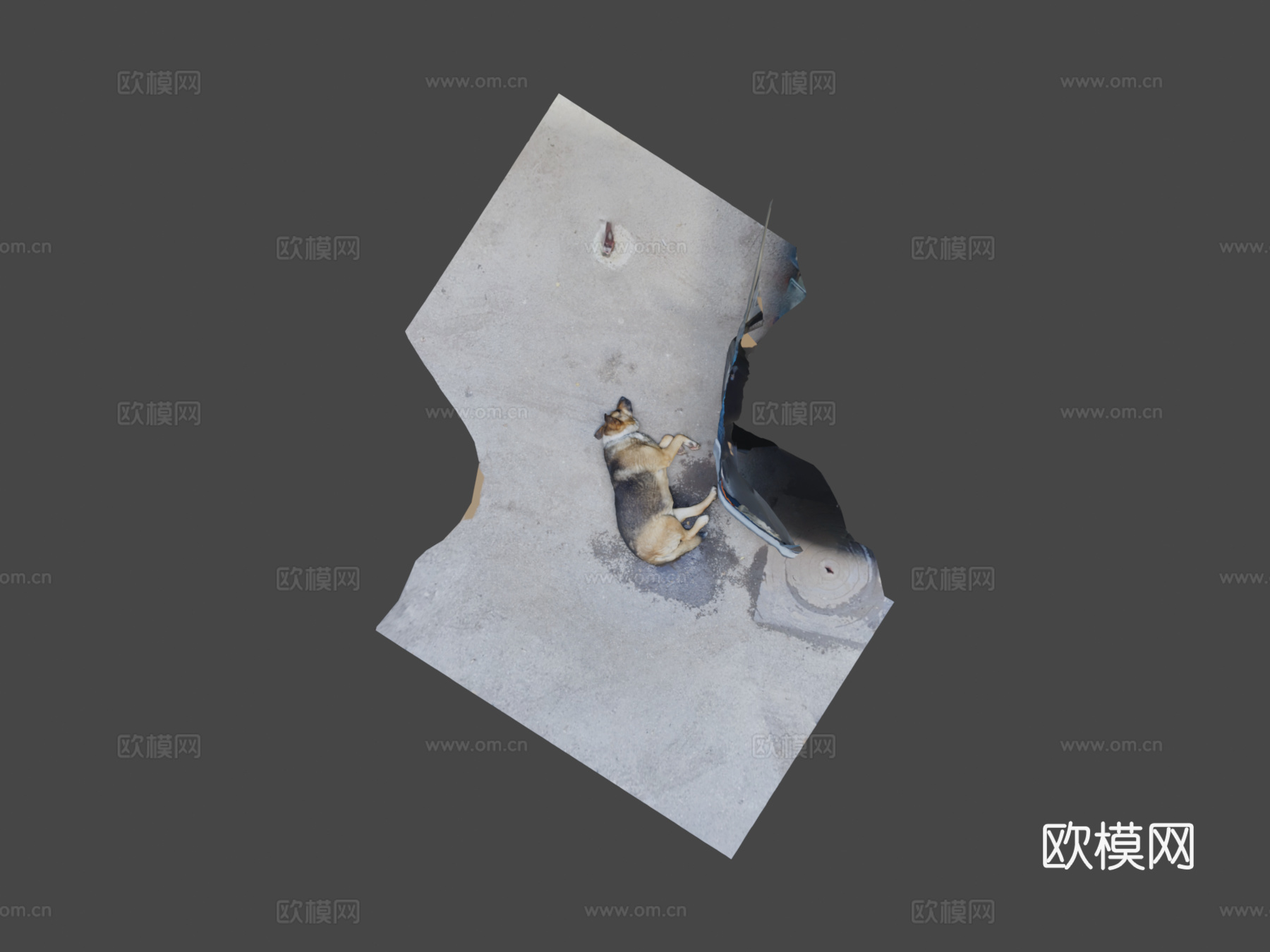 睡觉的狗03su模型