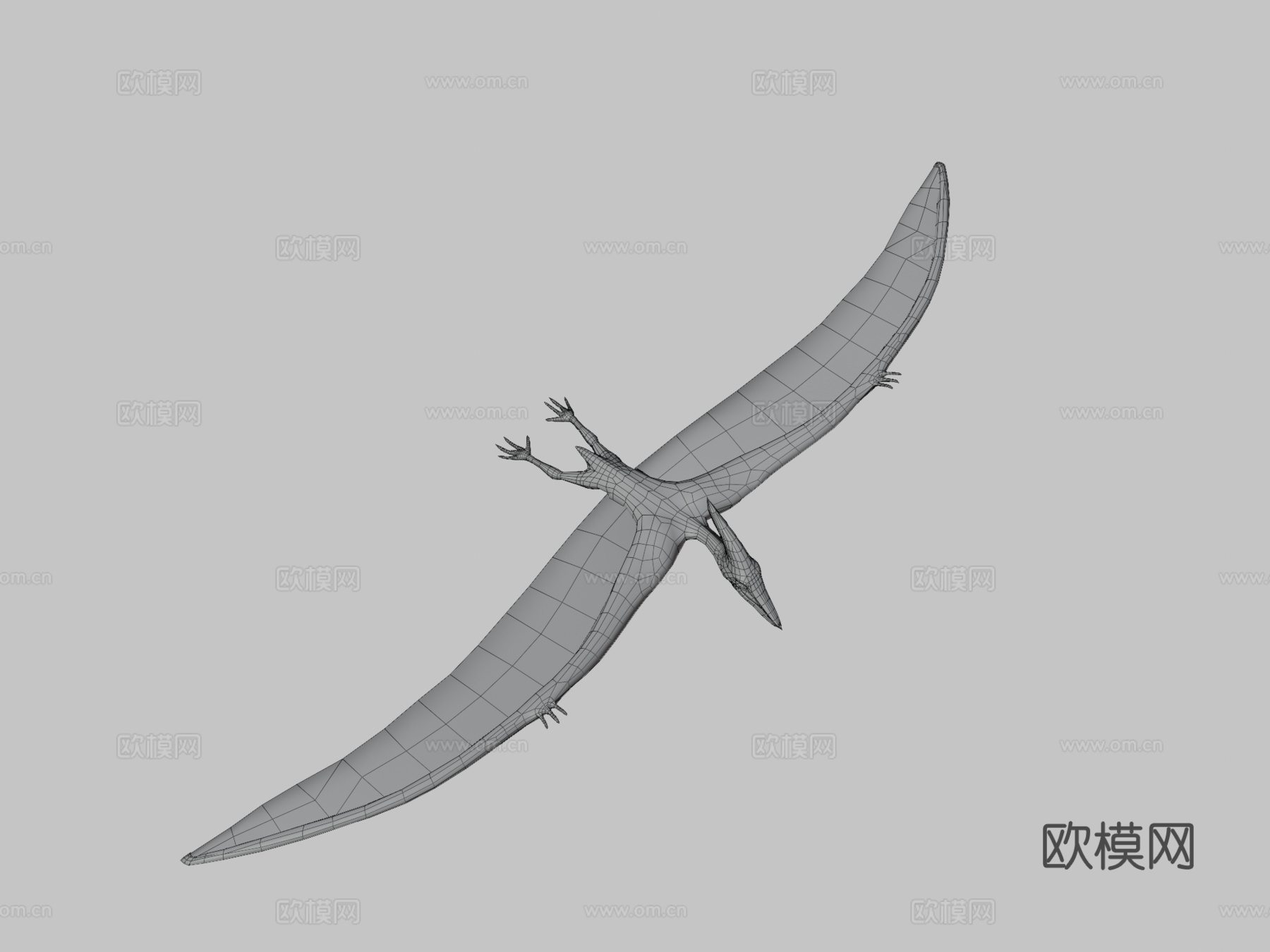 无齿翼龙飞行动画su模型