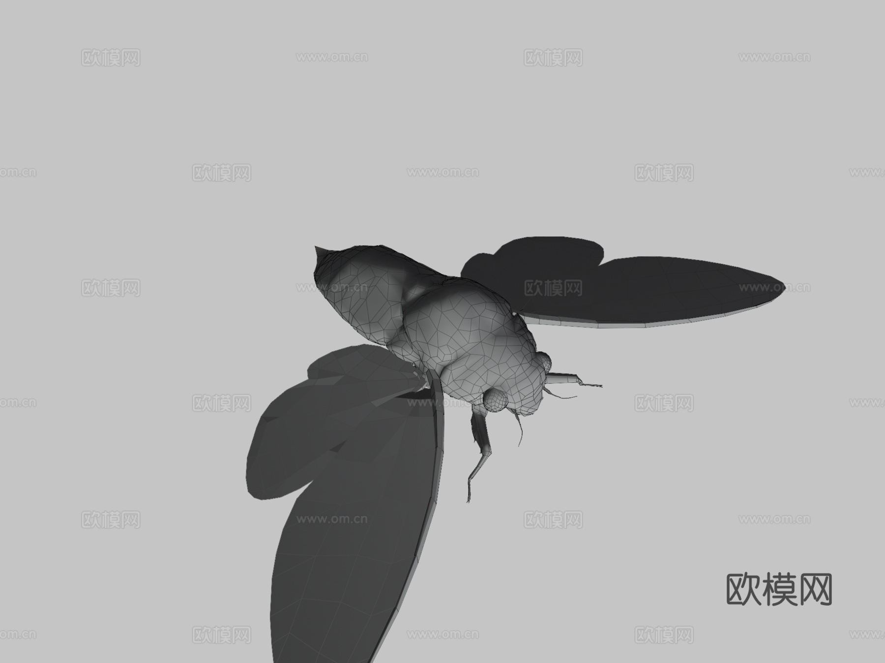 十七年魔法蝉&#39;法老蝉&#39;su模型