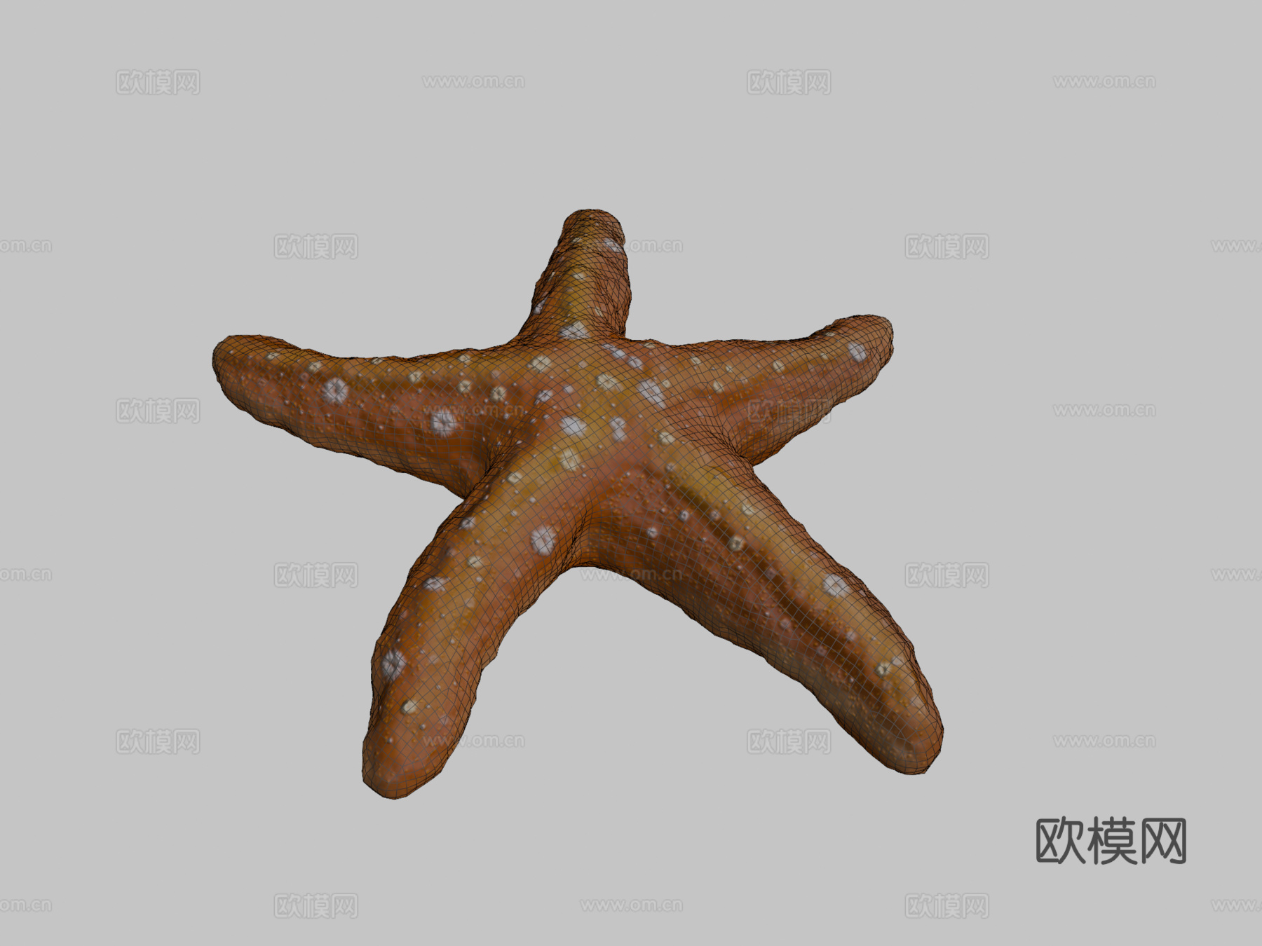 海星su模型