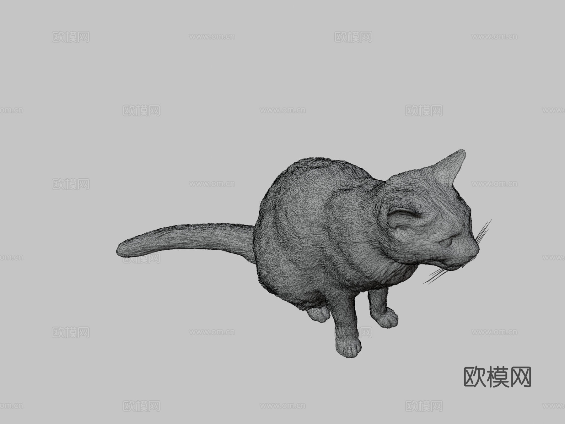 红猫21su模型