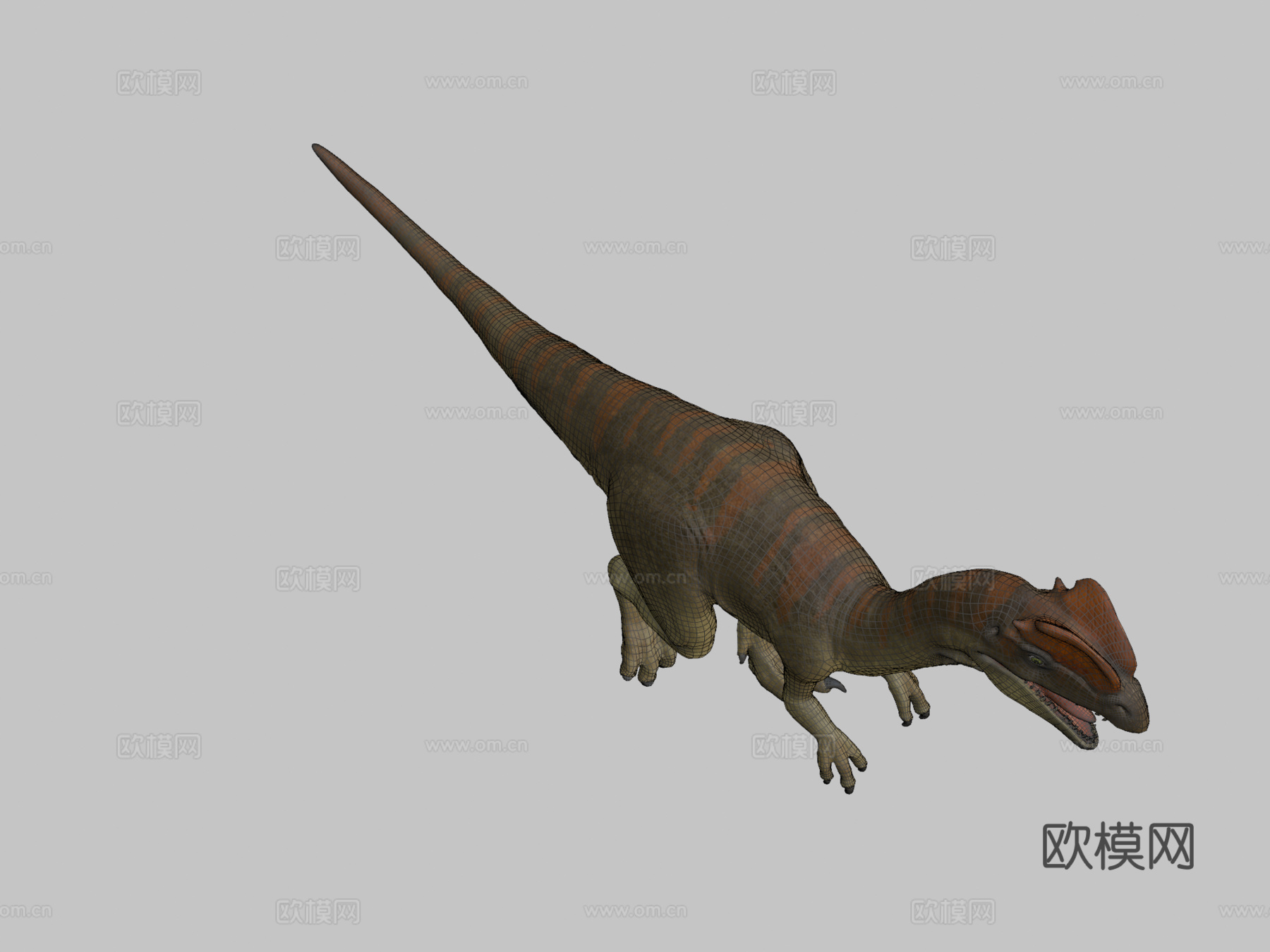 双脊龙su模型
