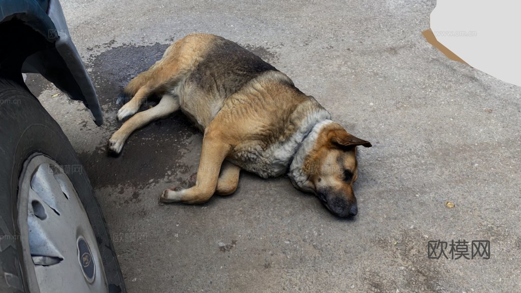 睡觉的狗03su模型