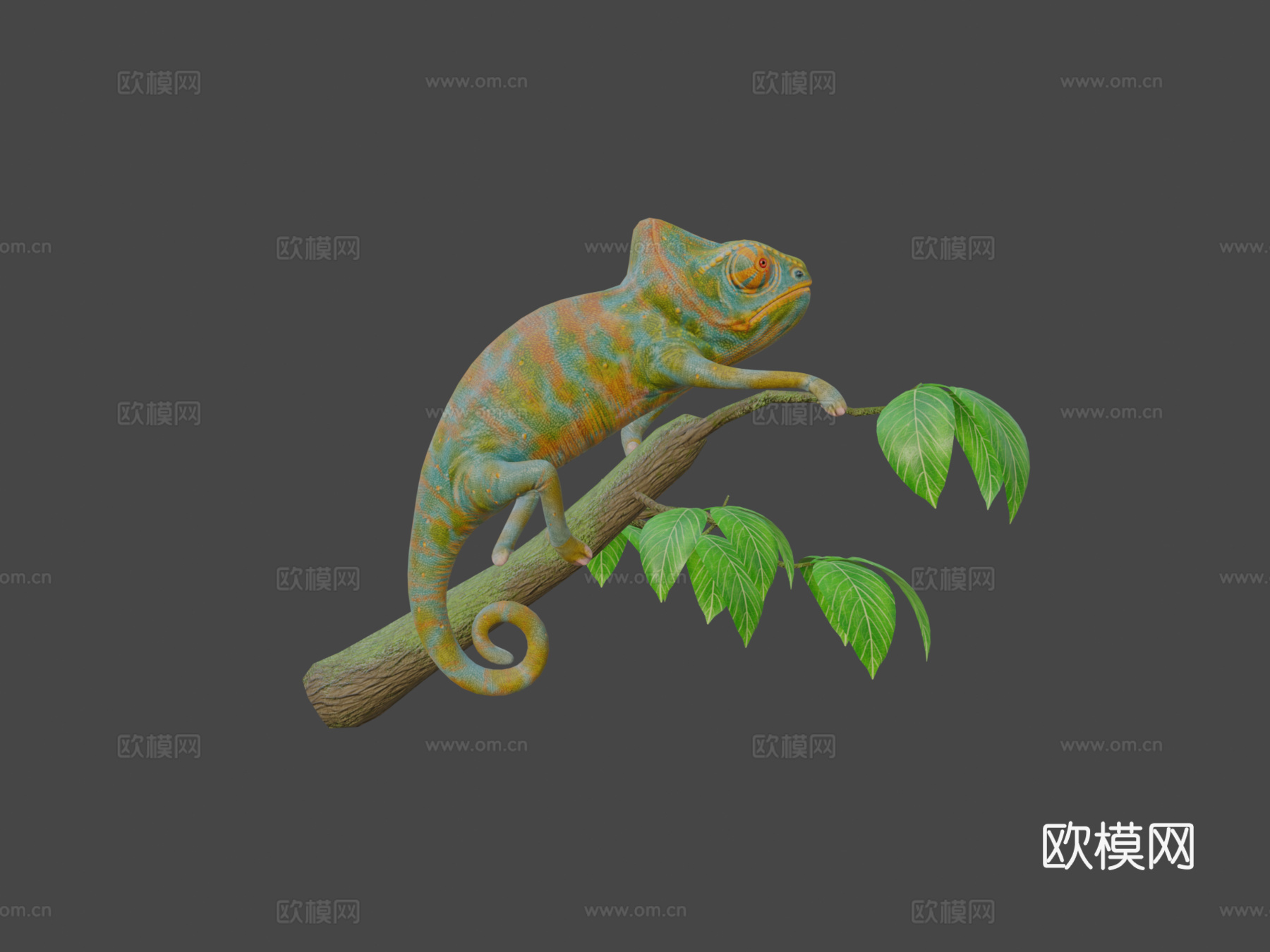 变色龙su模型