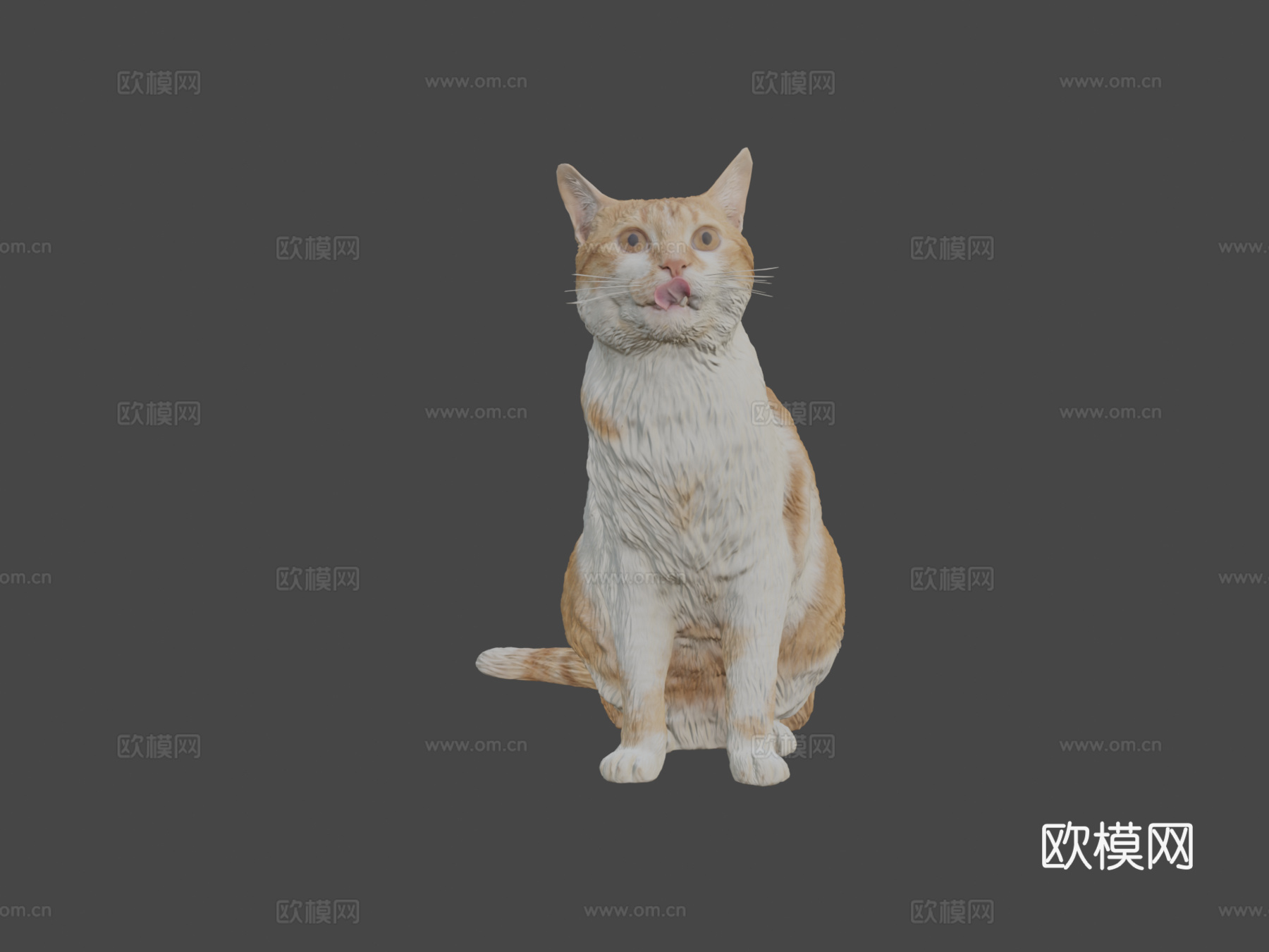 红猫21su模型