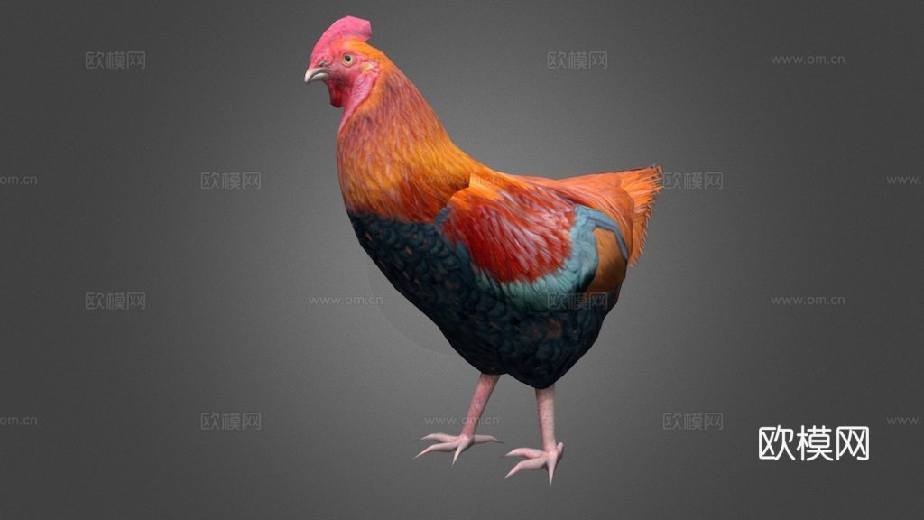 鸡su模型