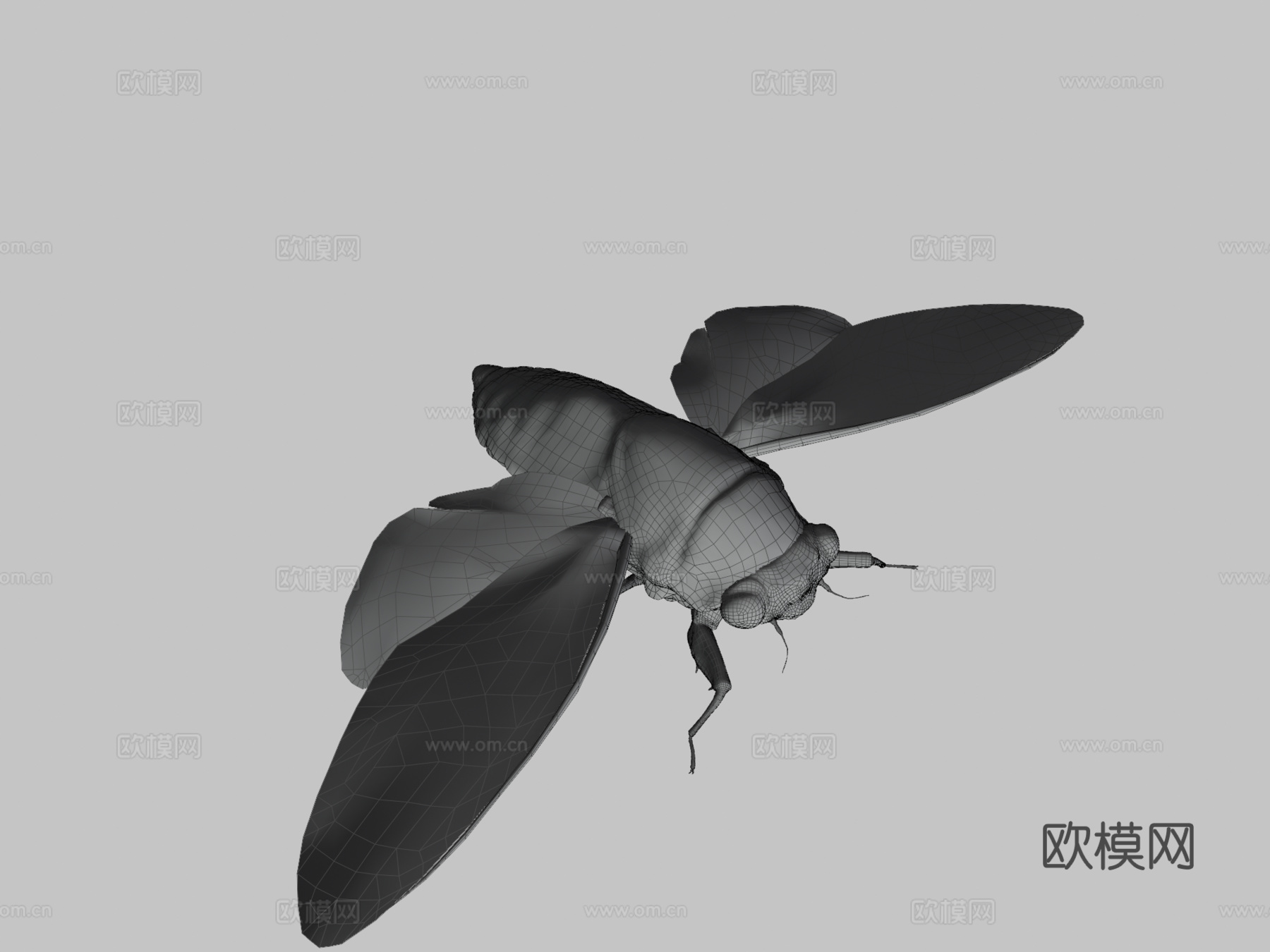帝王大蝉su模型