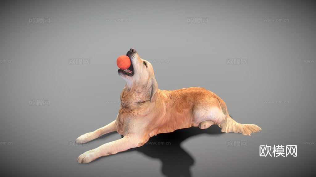 金毛犬玩玩具30su模型su模型