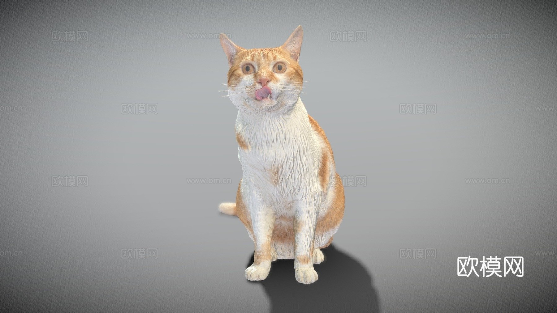 红猫21su模型