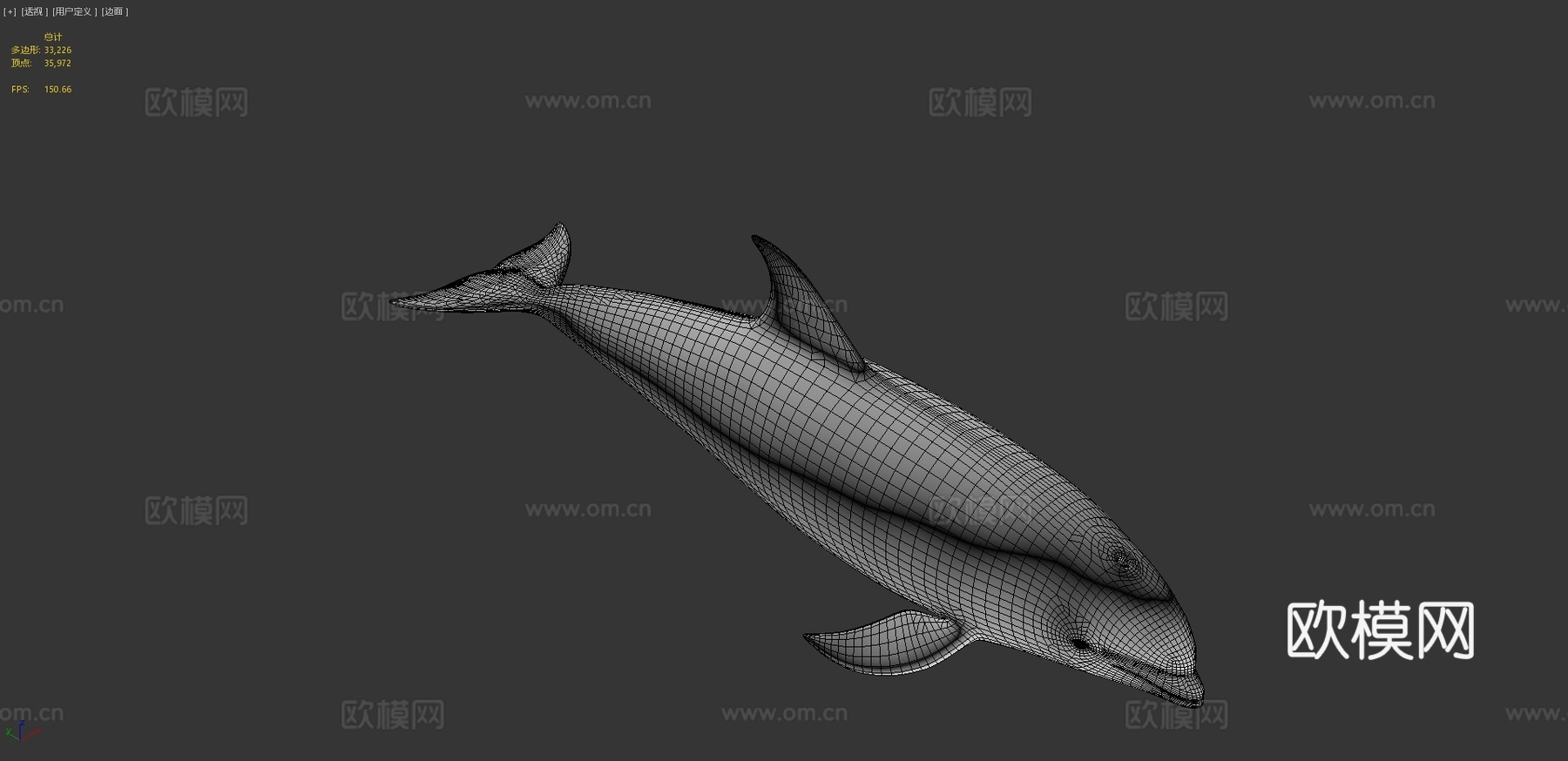 白喙斑纹海豚(尖吻海豚属)su模型